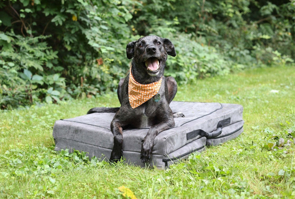 Fold-N-Go Travel Dog Bed