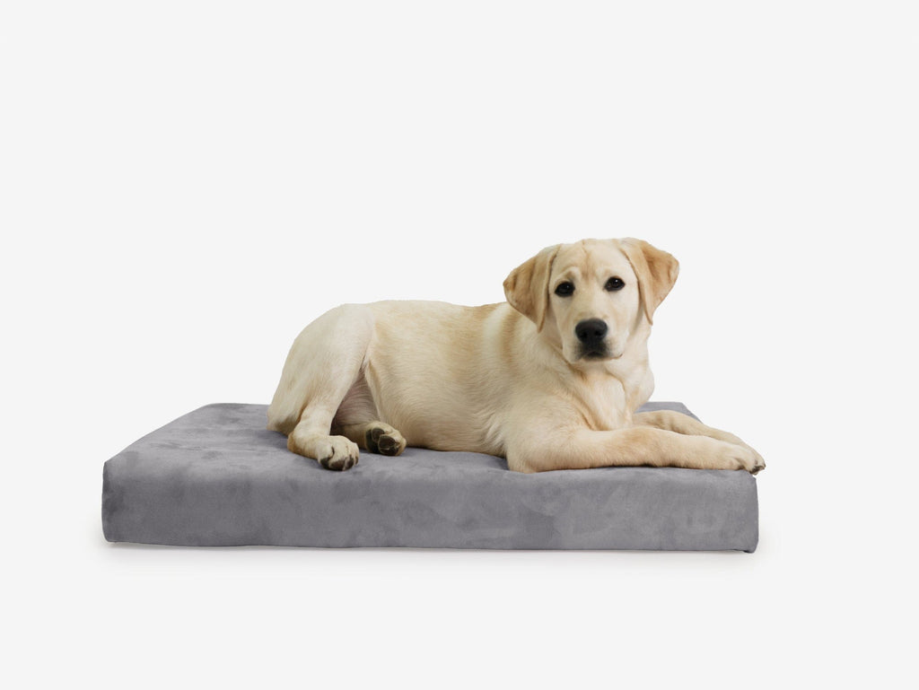 OrthoLift Crate Bed