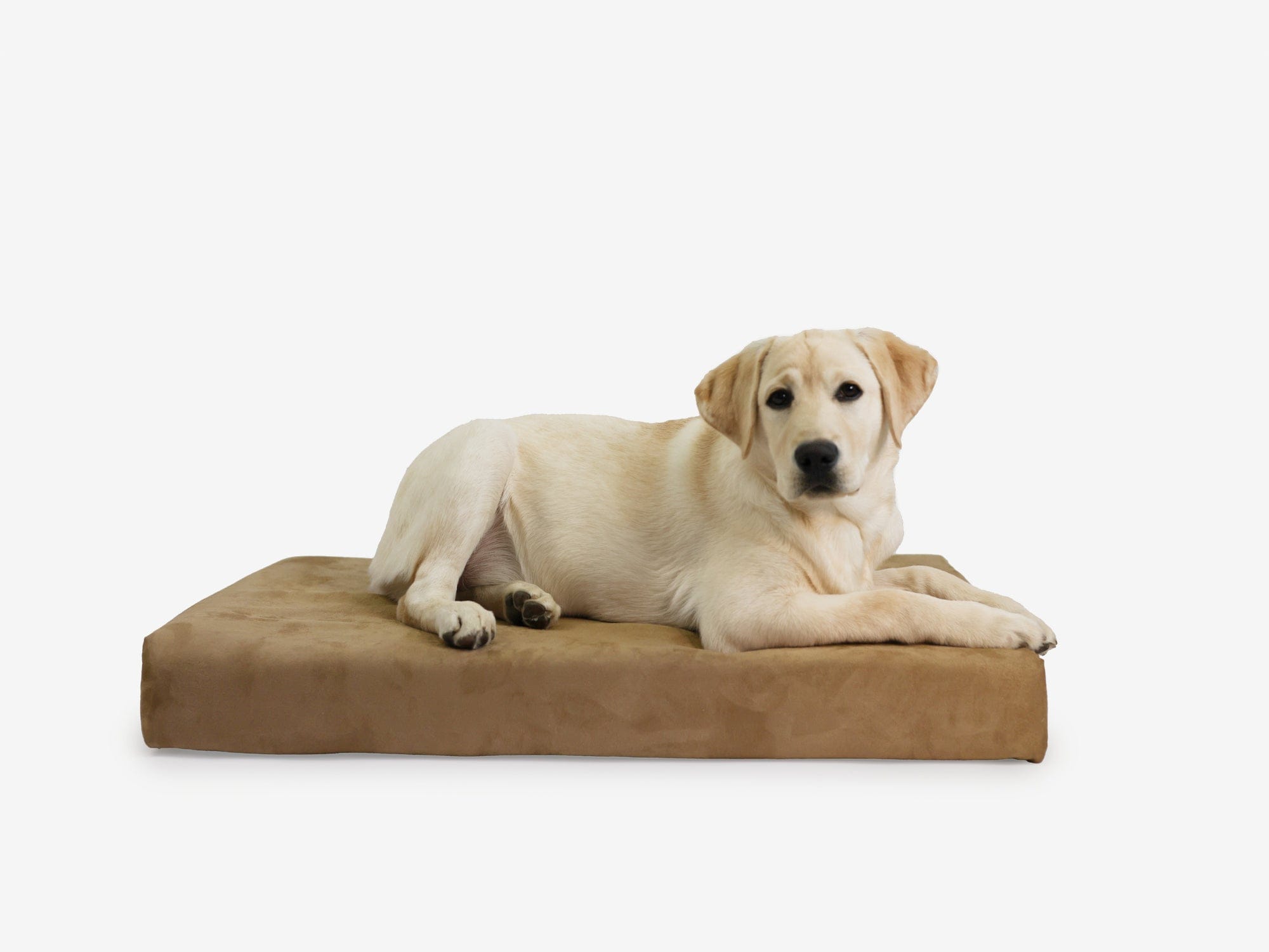 OrthoLift Crate Bed