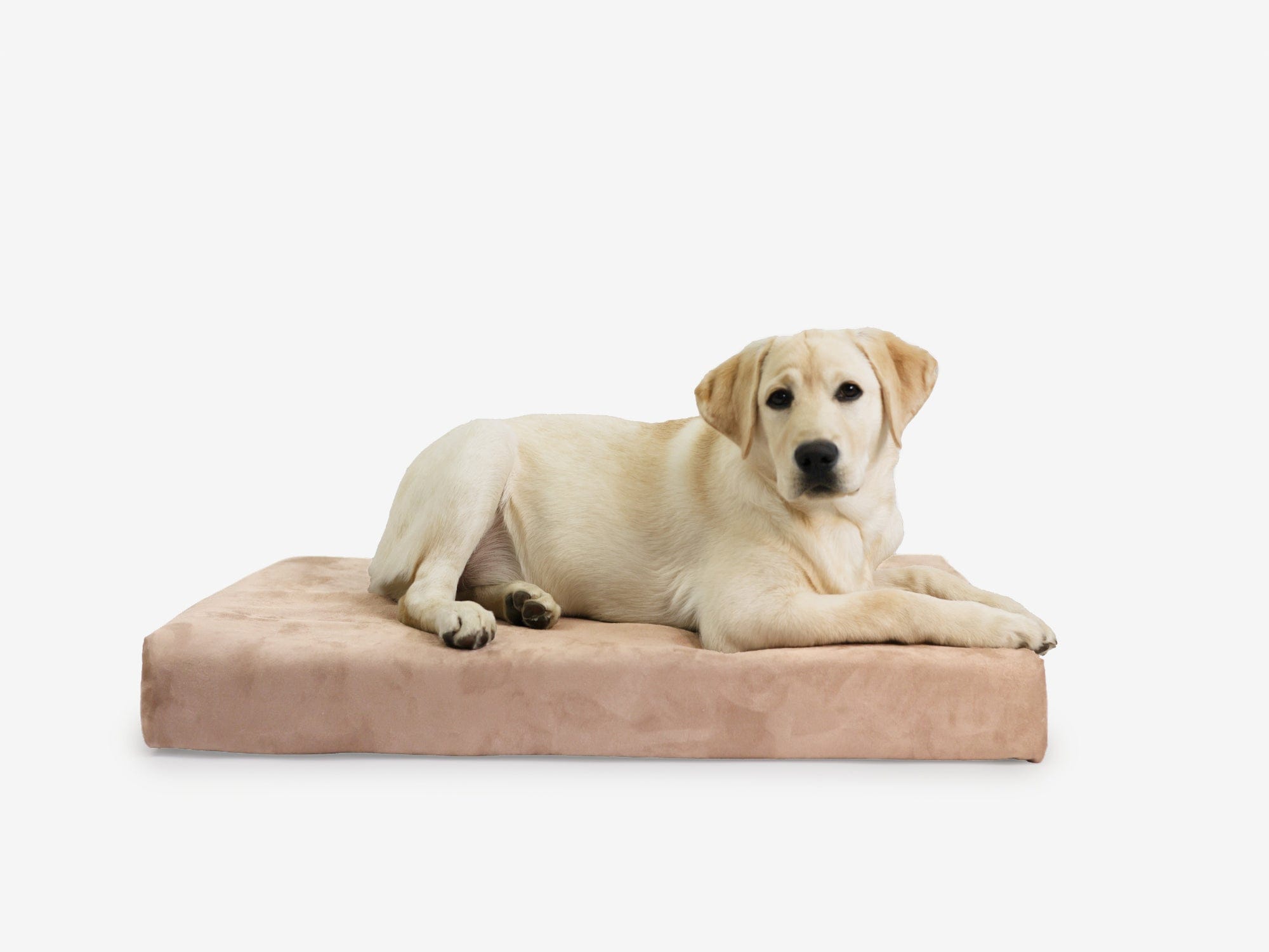 OrthoLift Crate Bed