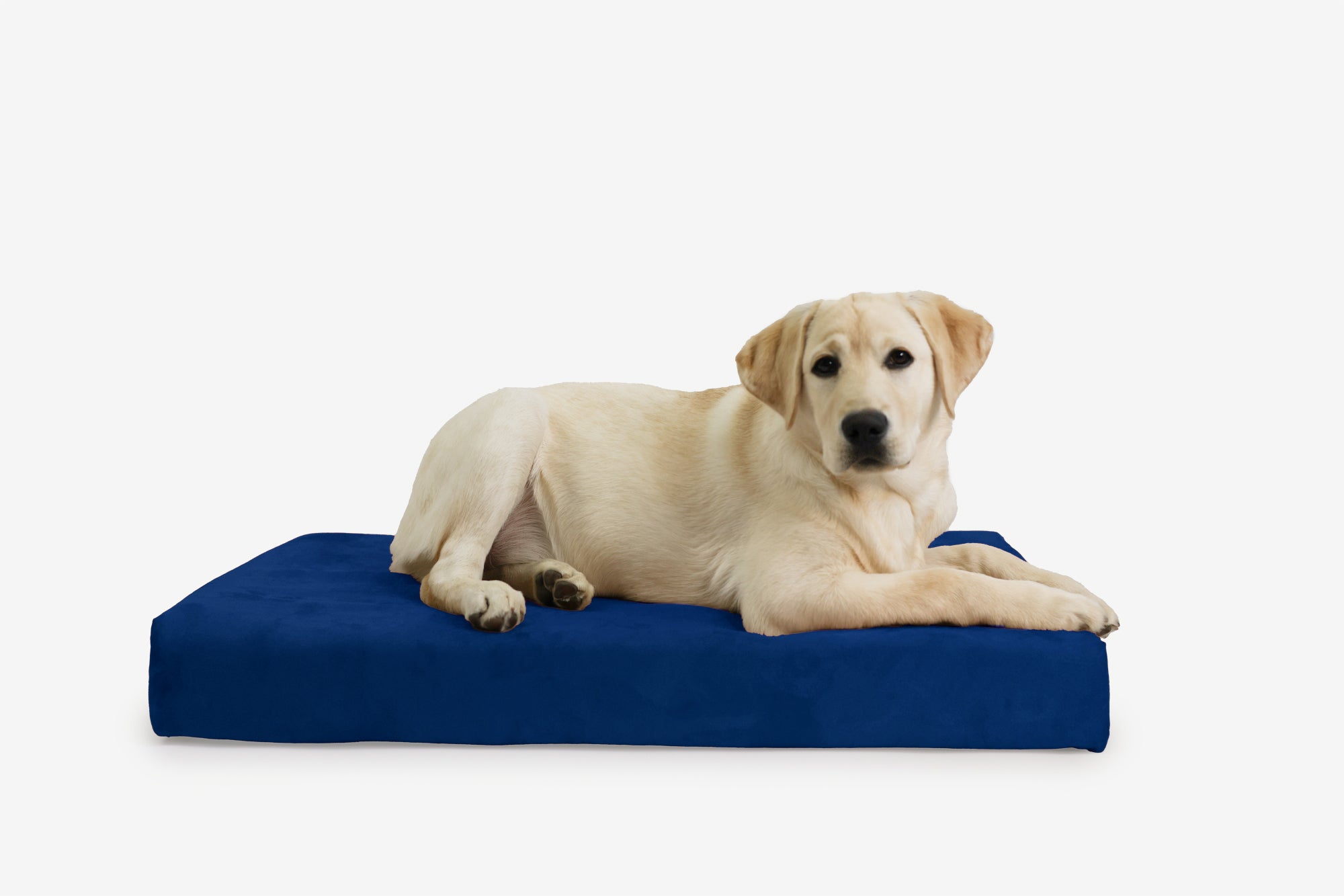 OrthoLift Crate Bed