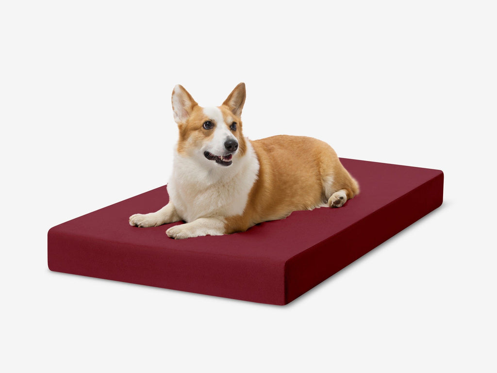 OrthoLift Crate Bed