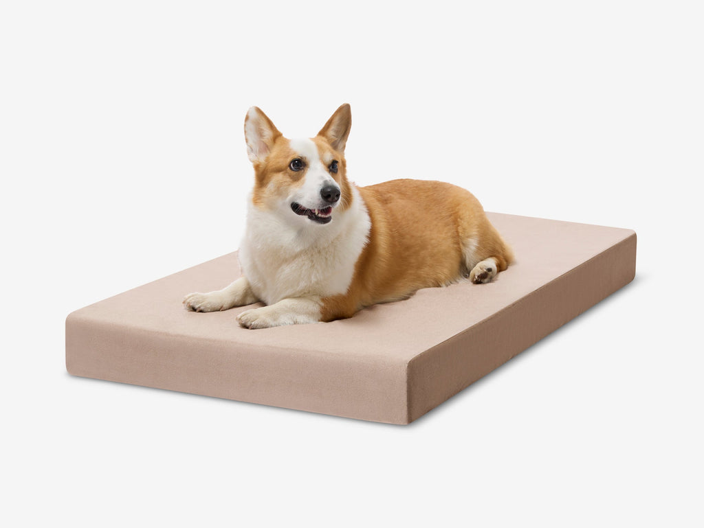OrthoLift Crate Bed