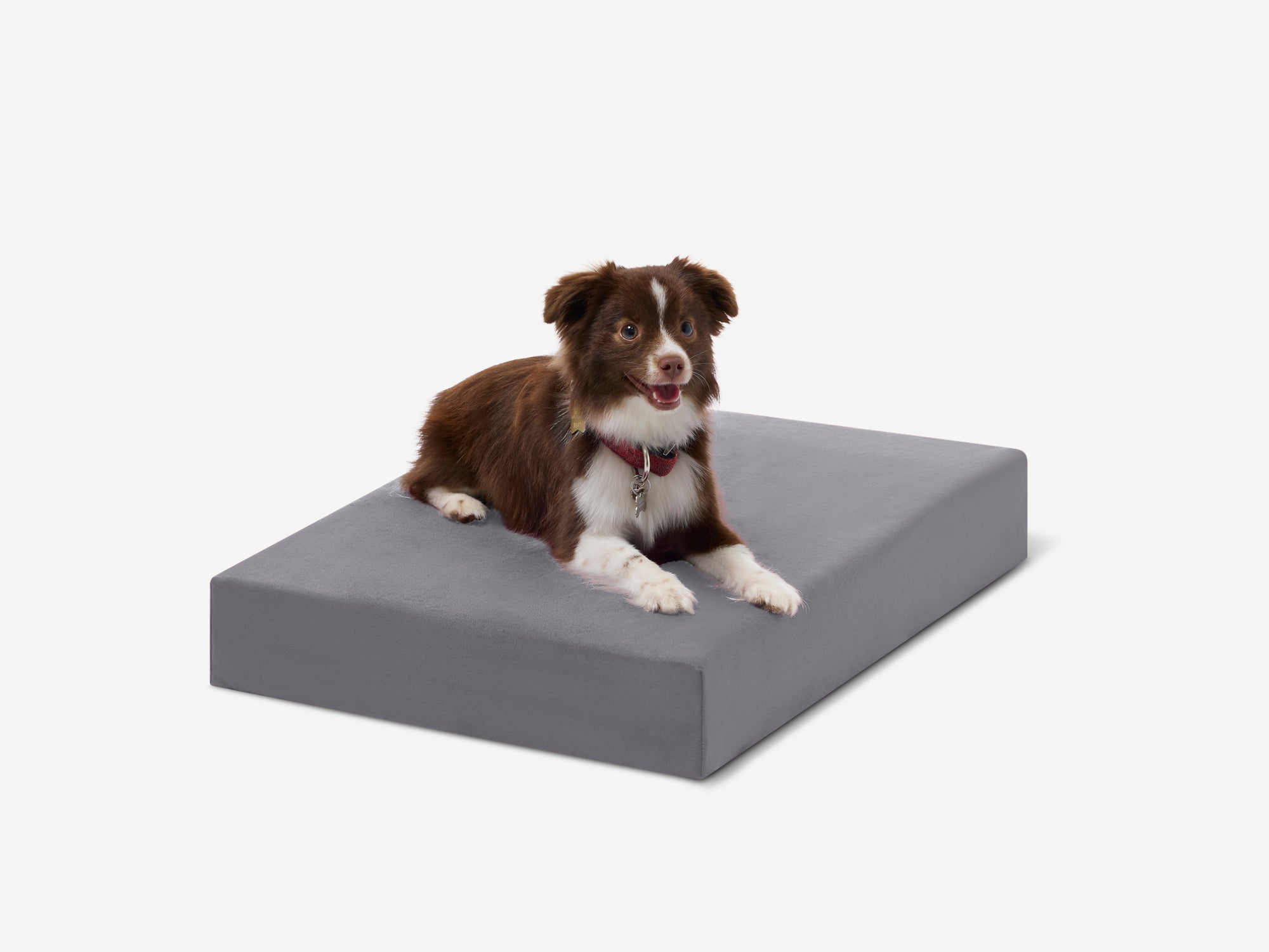 OrthoLift Crate Bed
