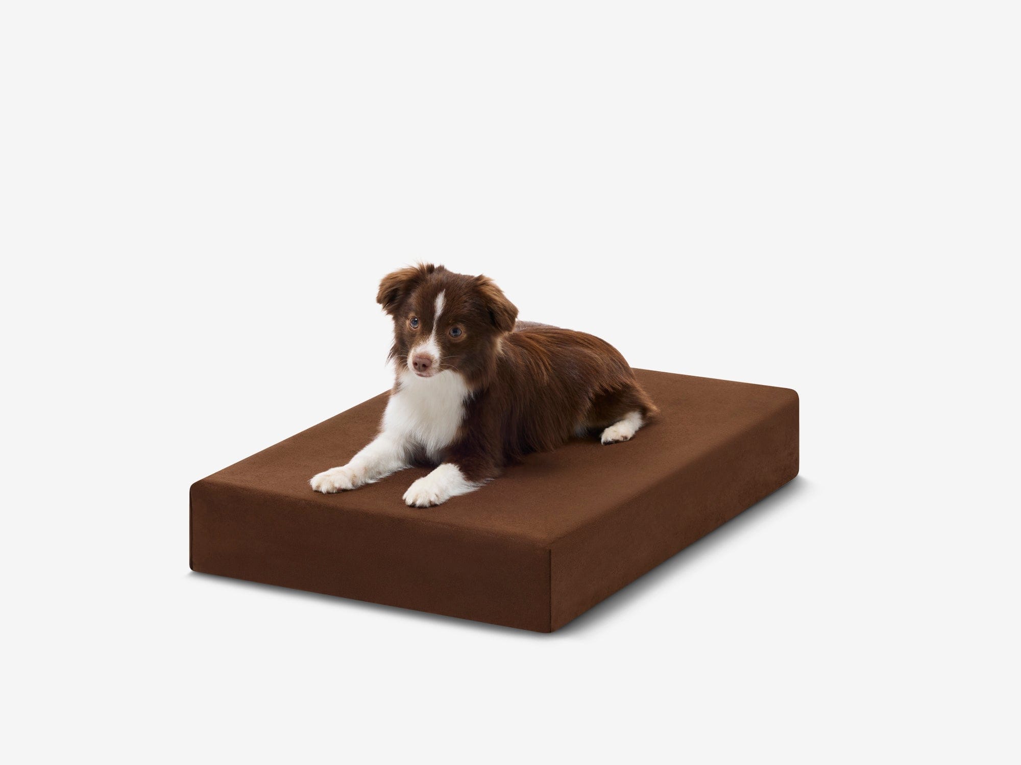OrthoLift Crate Bed