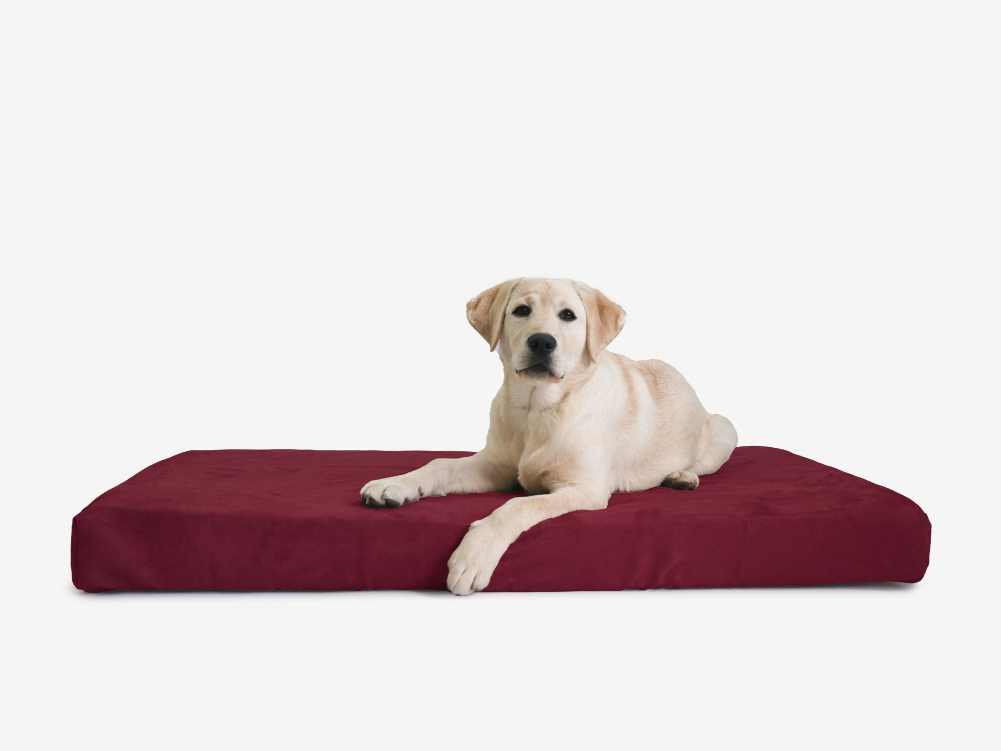 OrthoLift Crate Bed