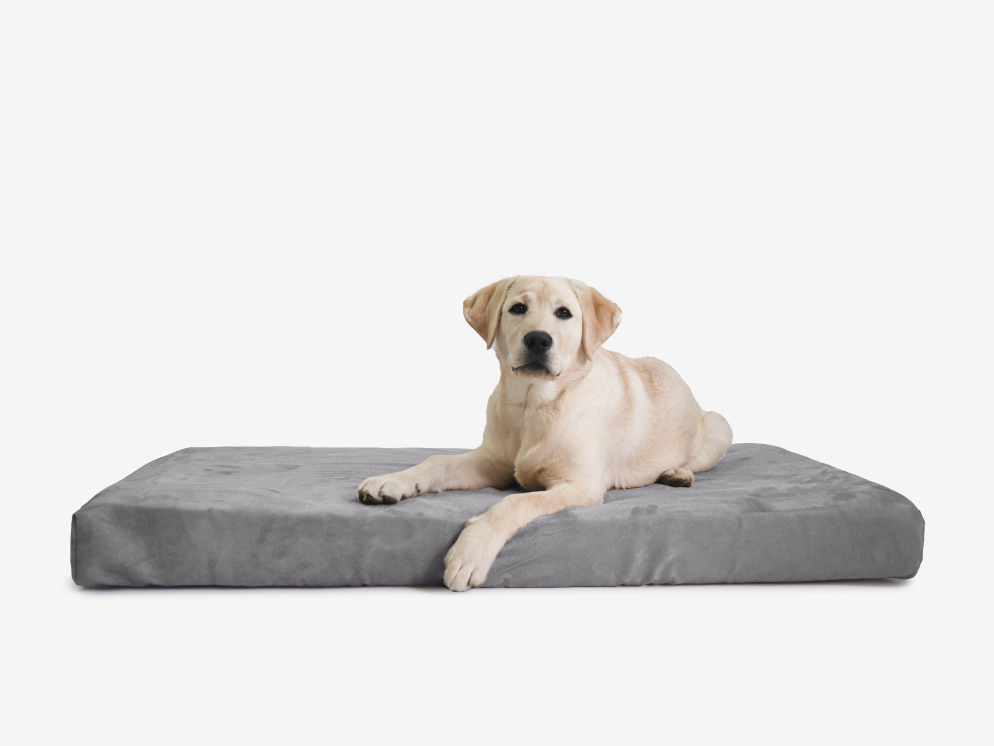 OrthoLift Crate Bed