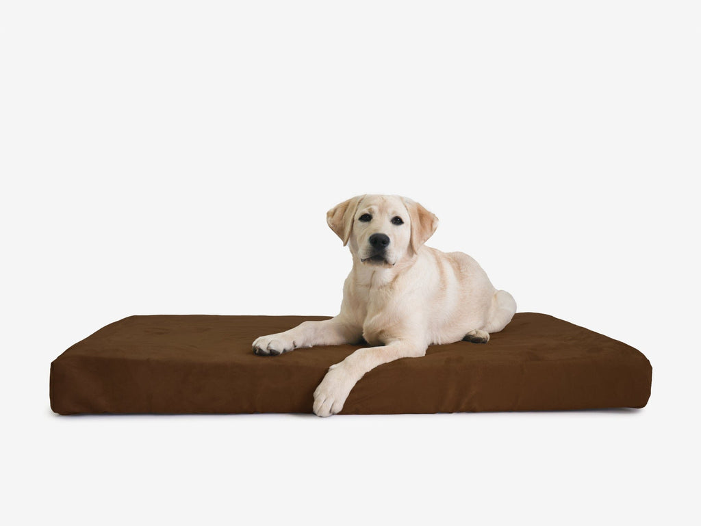OrthoLift Crate Bed