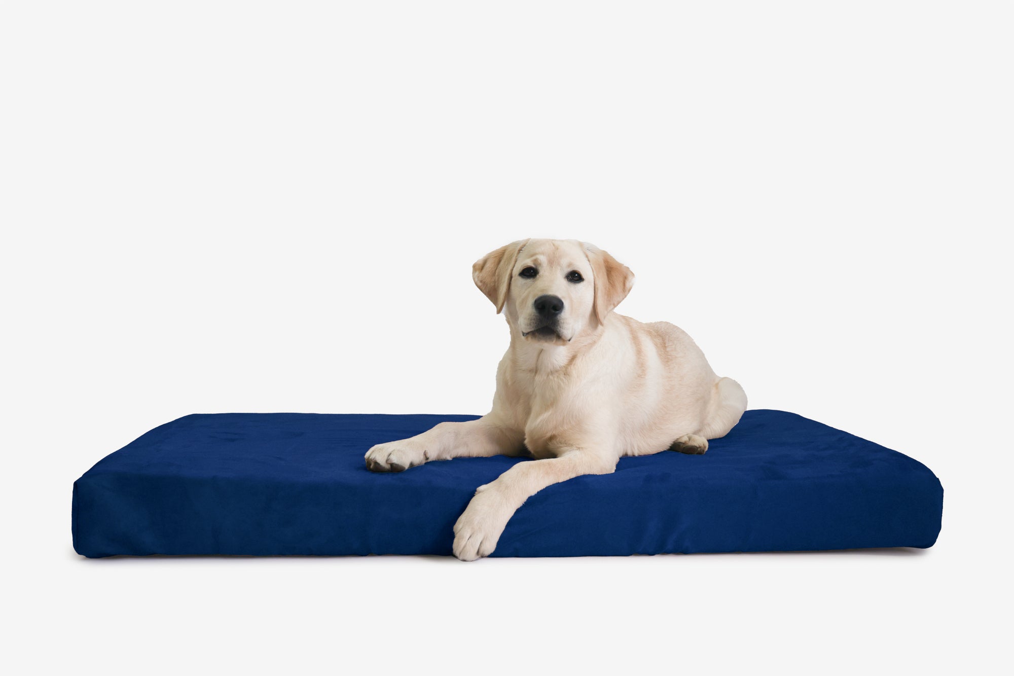 OrthoLift Crate Bed