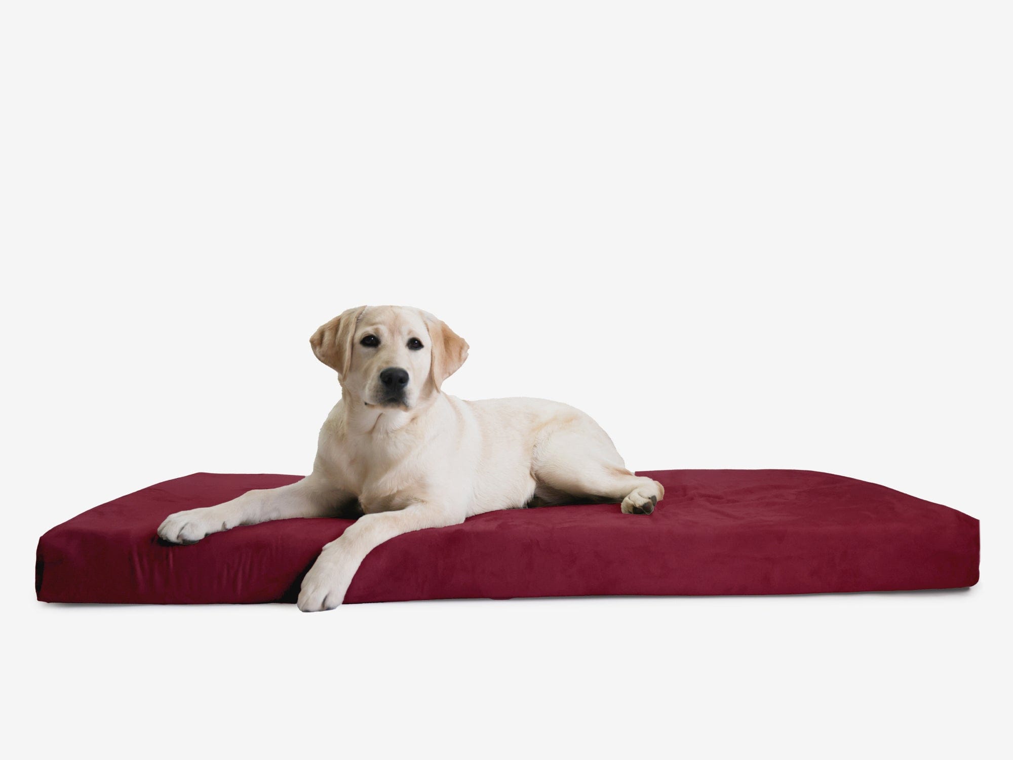 OrthoLift Crate Bed