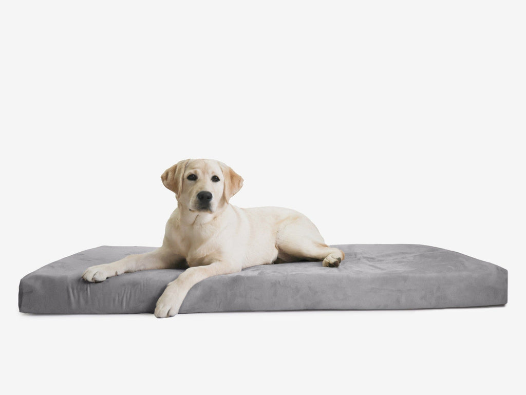 OrthoLift Crate Bed