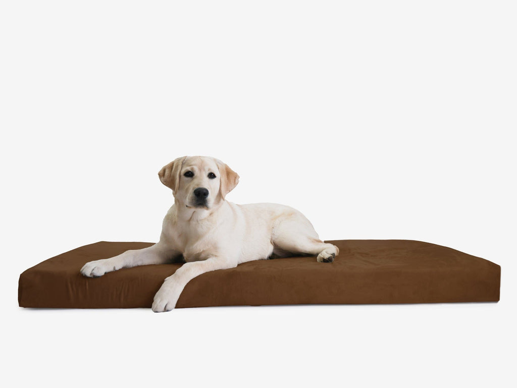 OrthoLift Crate Bed