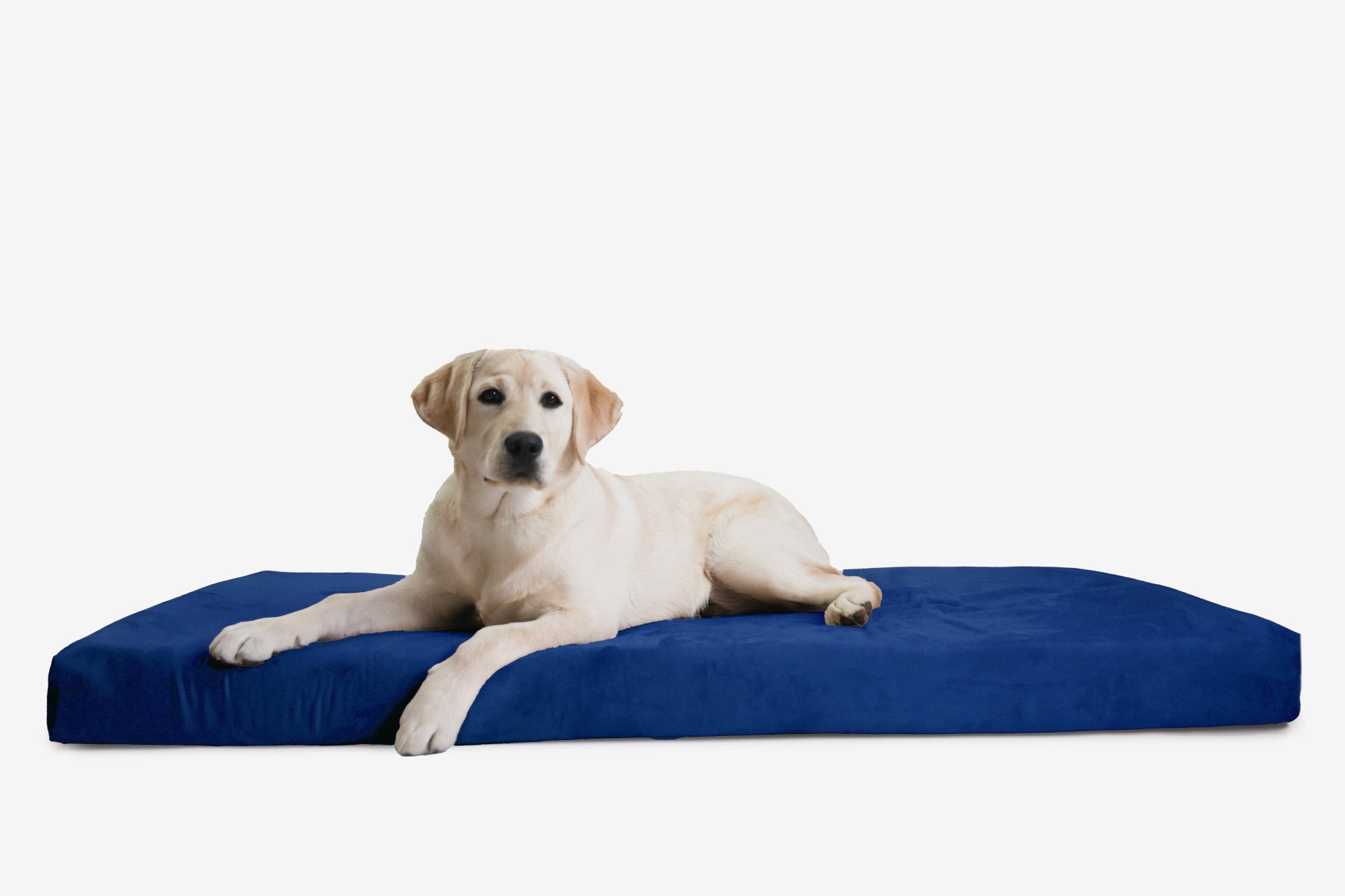 OrthoLift Crate Bed