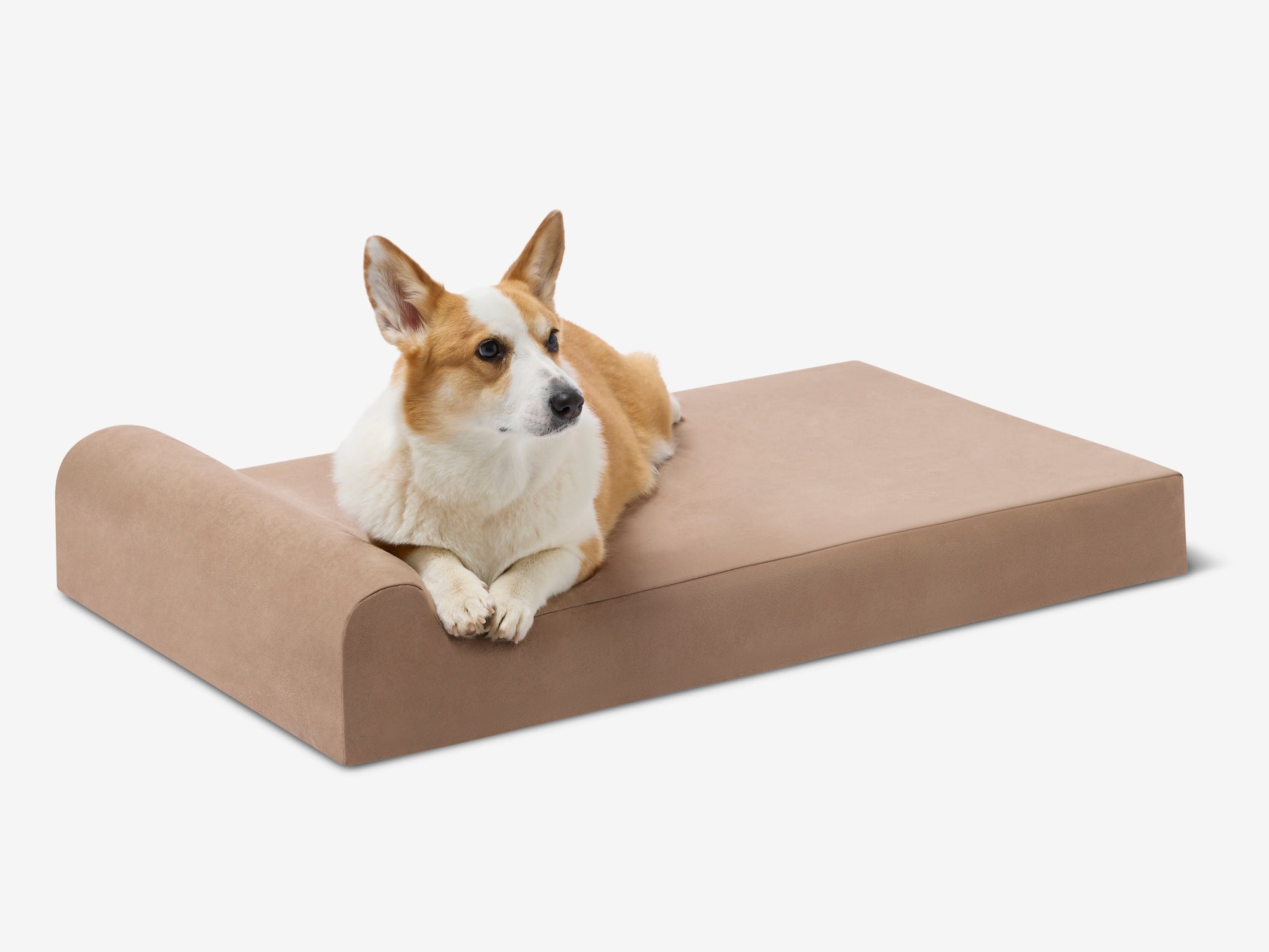 Junior Orthopedic Dog Bed