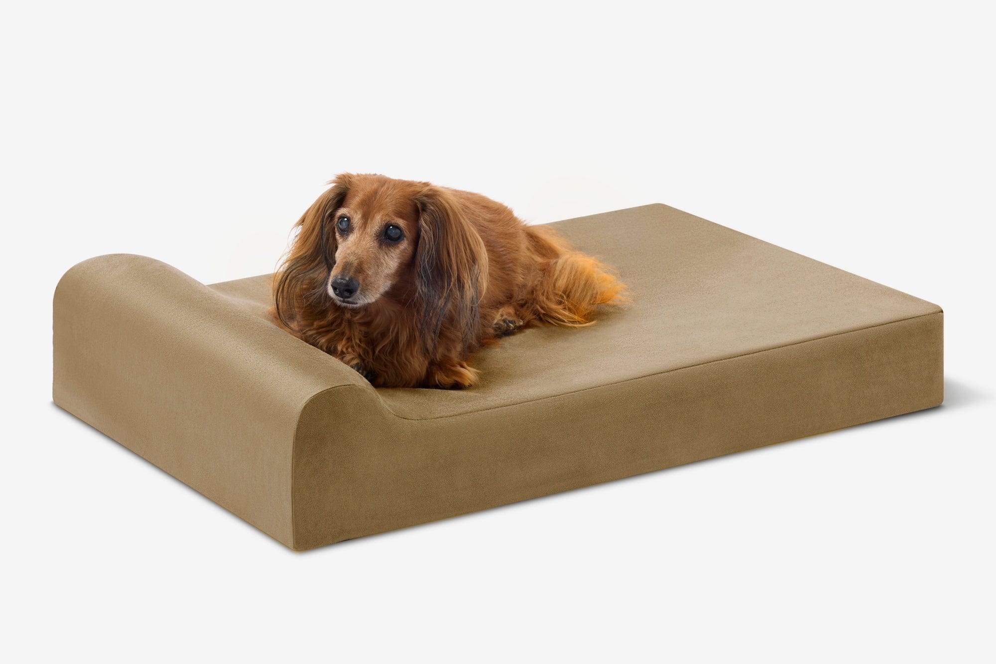 Junior Orthopedic Dog Bed