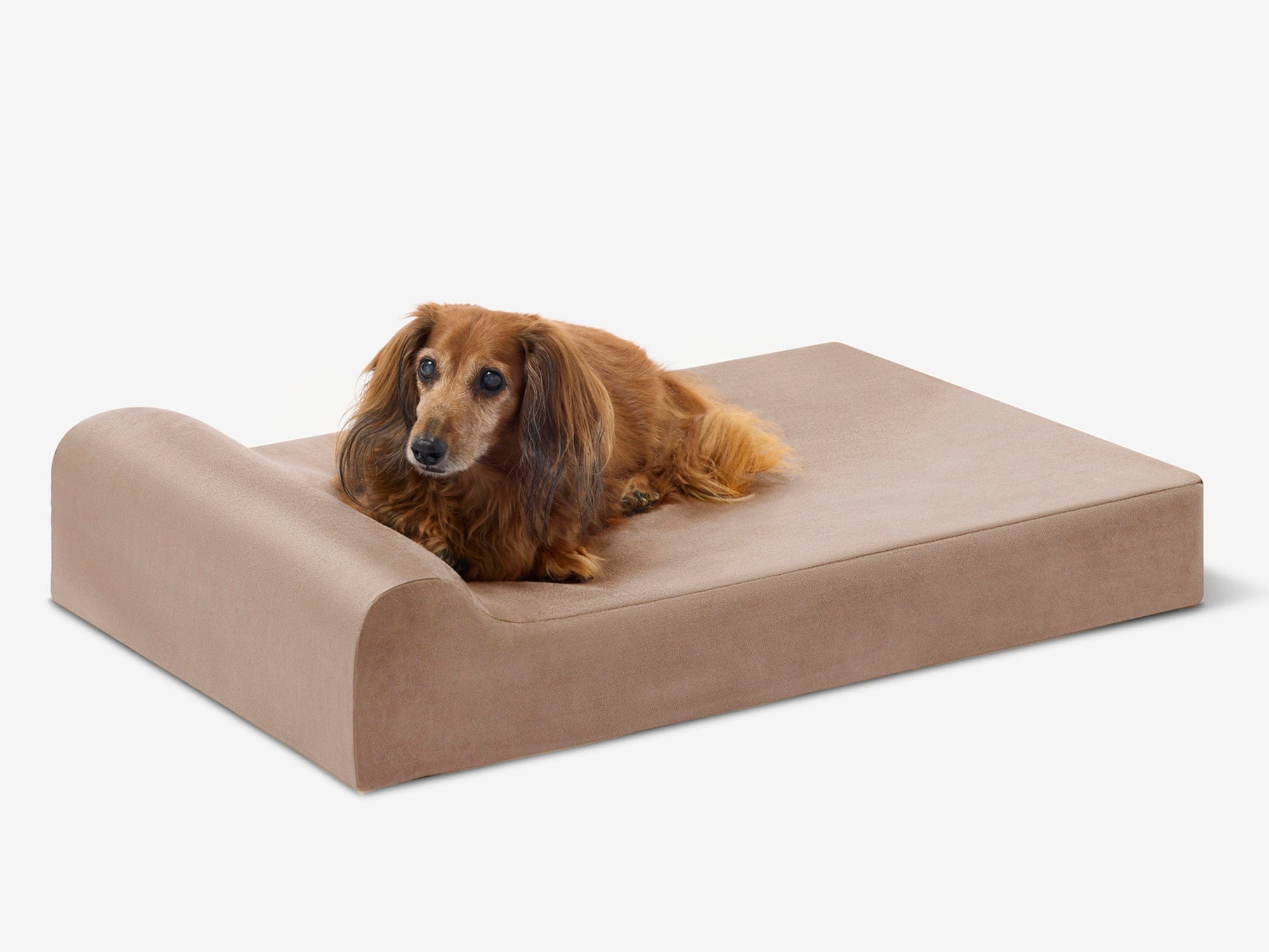 Junior Orthopedic Dog Bed