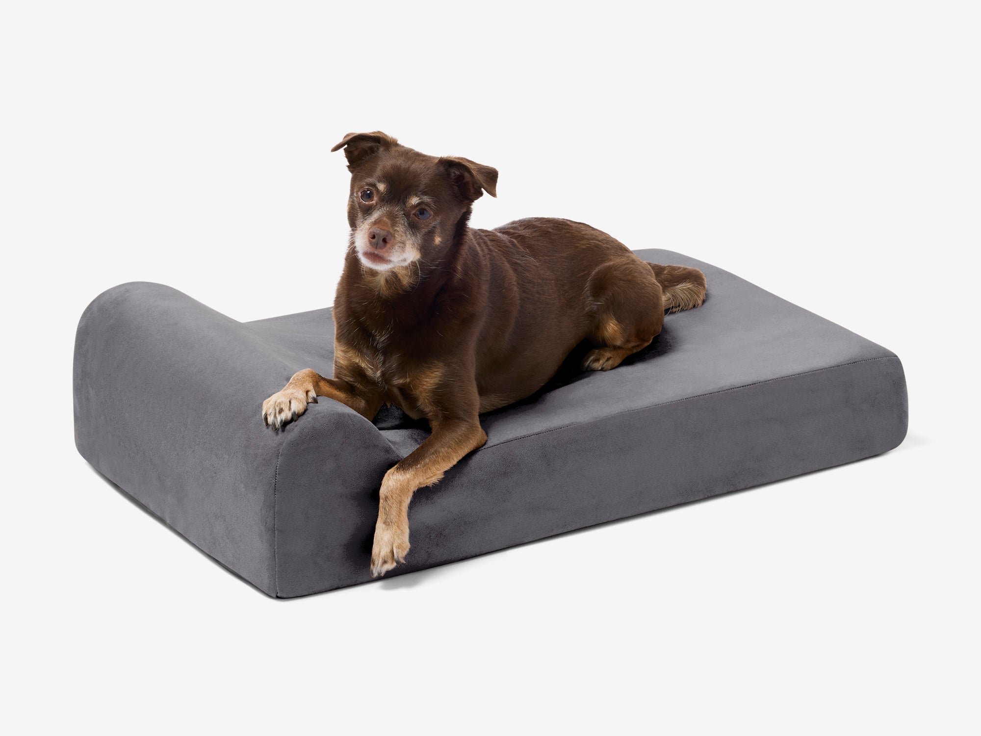 Junior Orthopedic Dog Bed