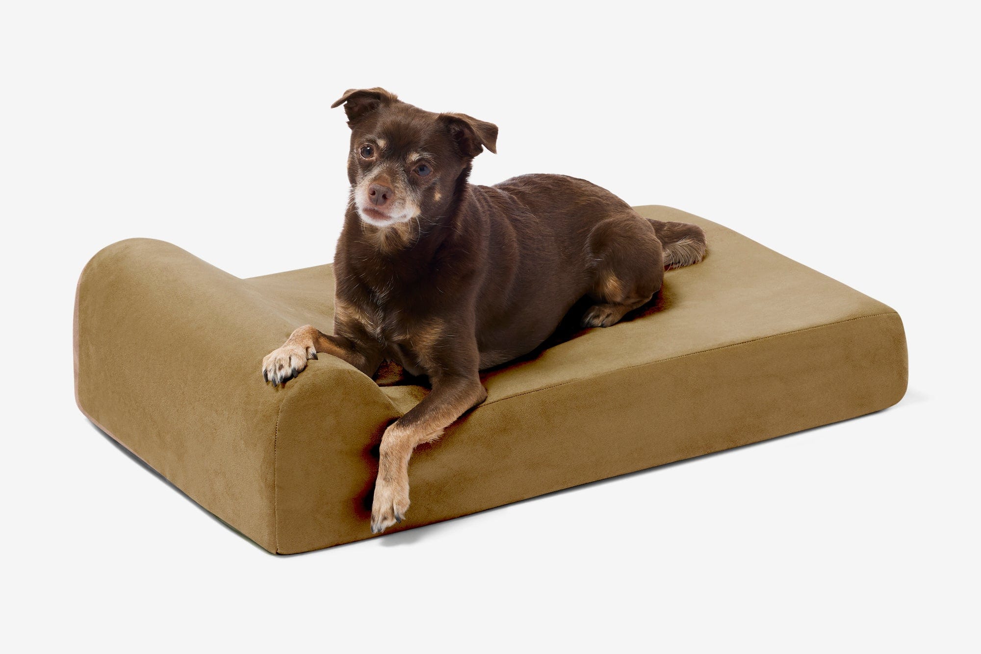 Junior Orthopedic Dog Bed