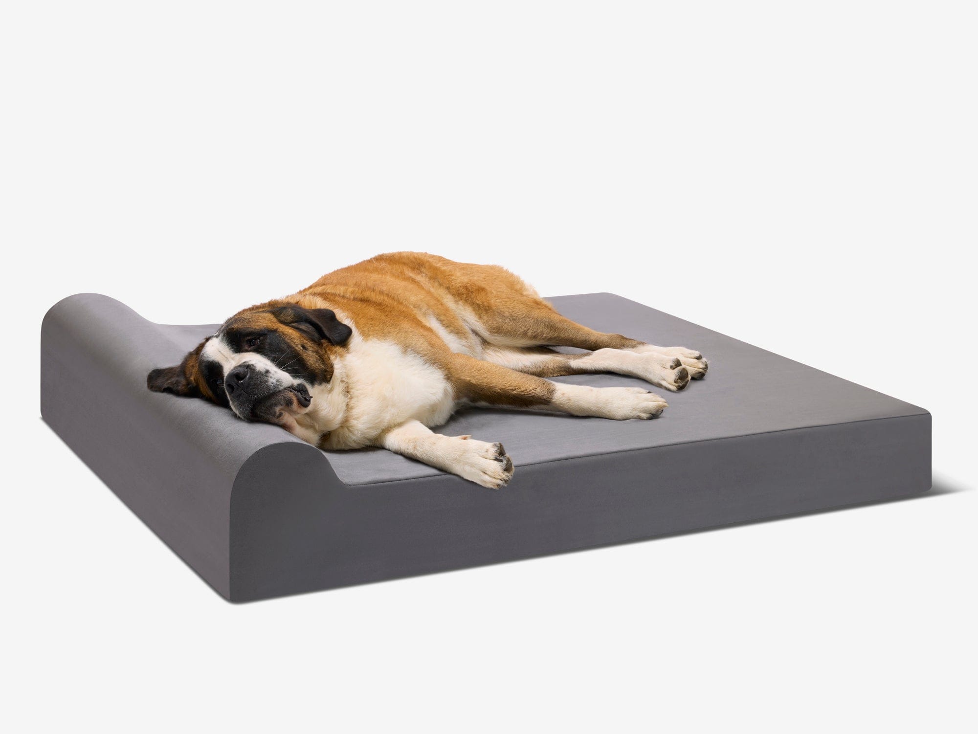Original Orthopedic Dog Bed