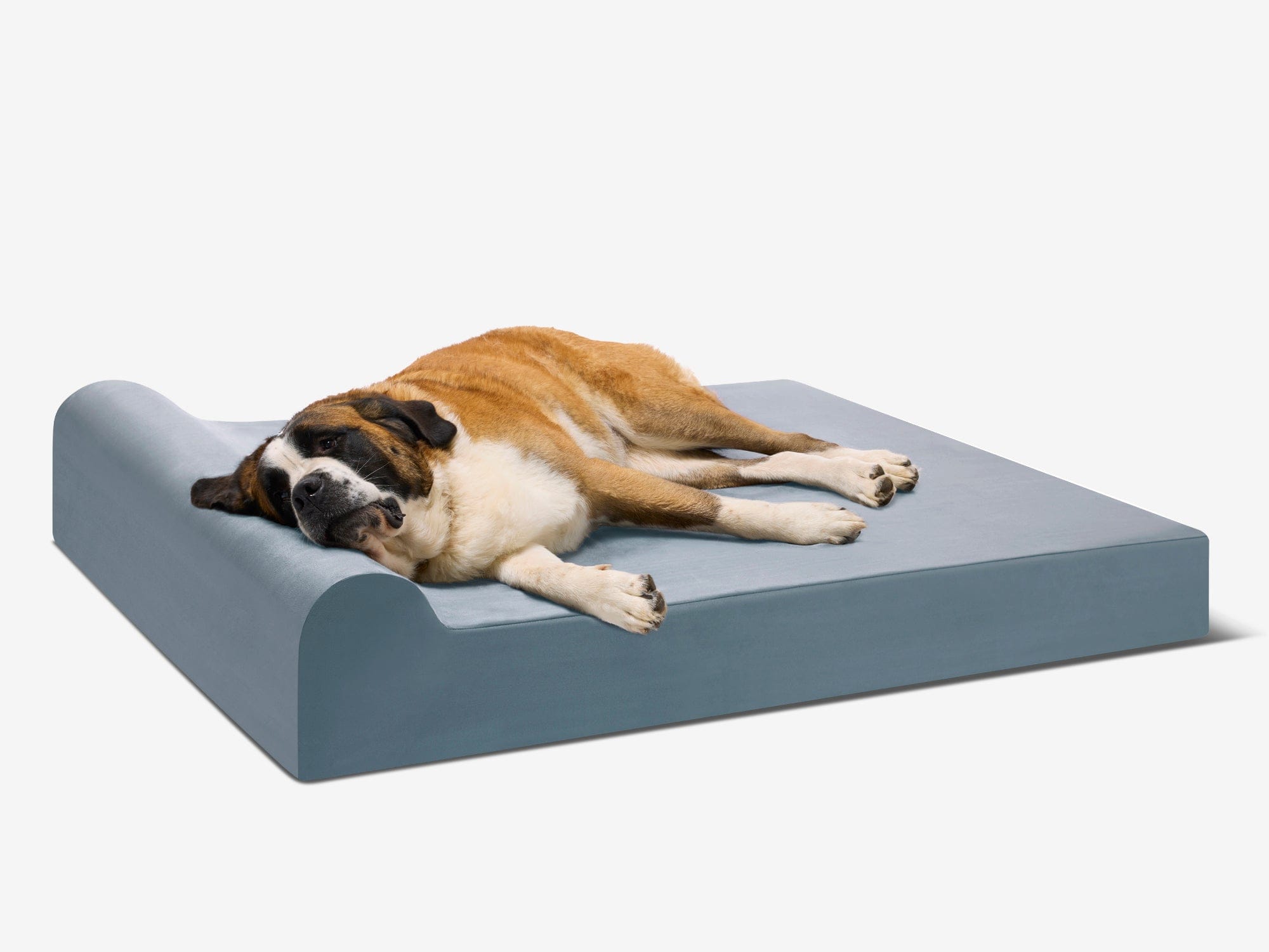 Original Orthopedic Dog Bed
