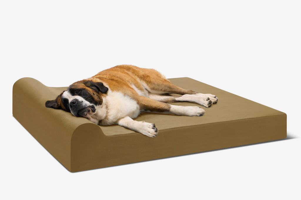 Original Orthopedic Dog Bed