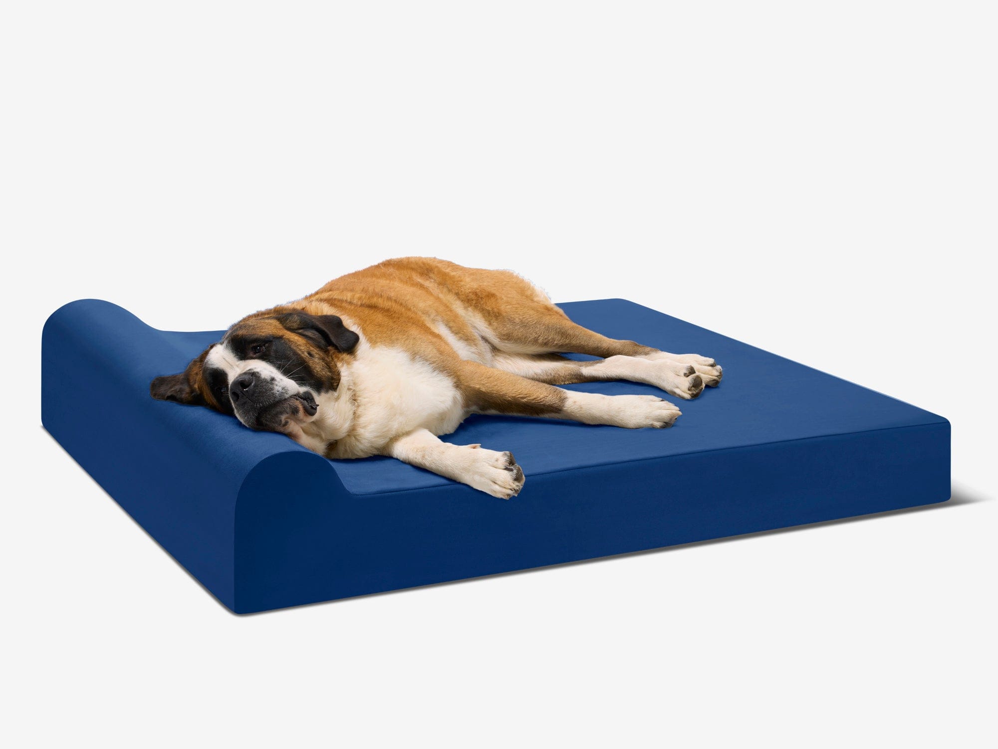 Original Orthopedic Dog Bed