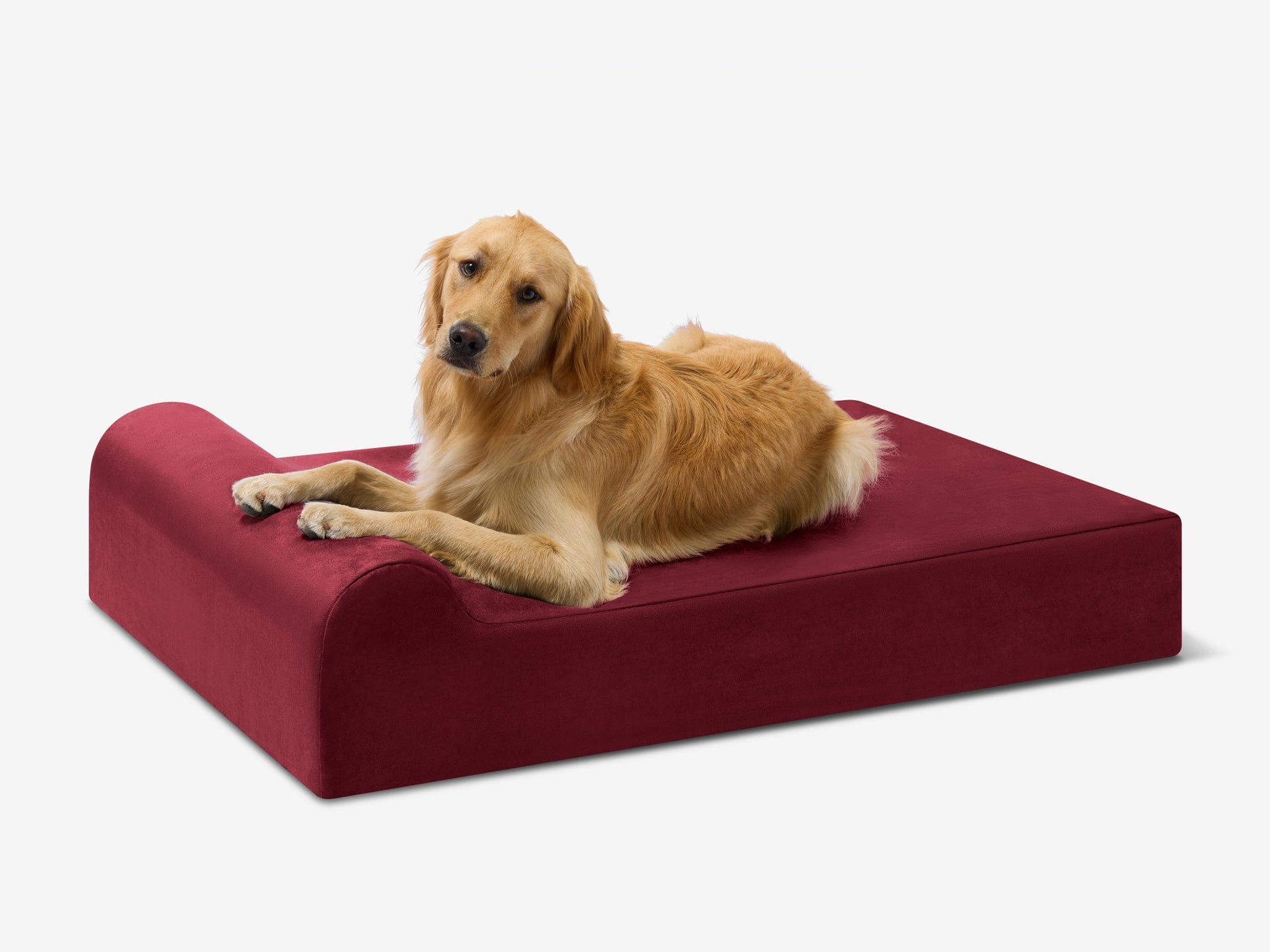 Original Orthopedic Dog Bed