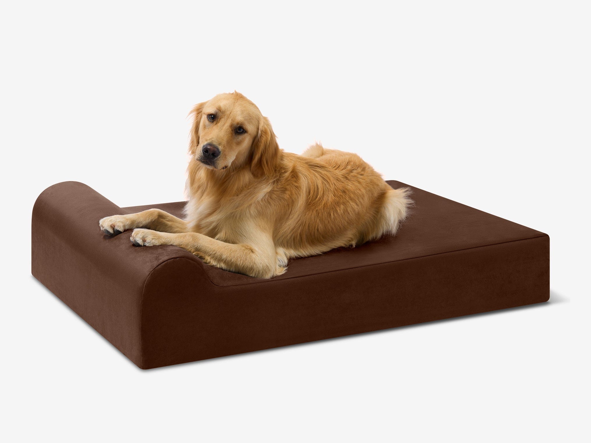 Original Orthopedic Dog Bed