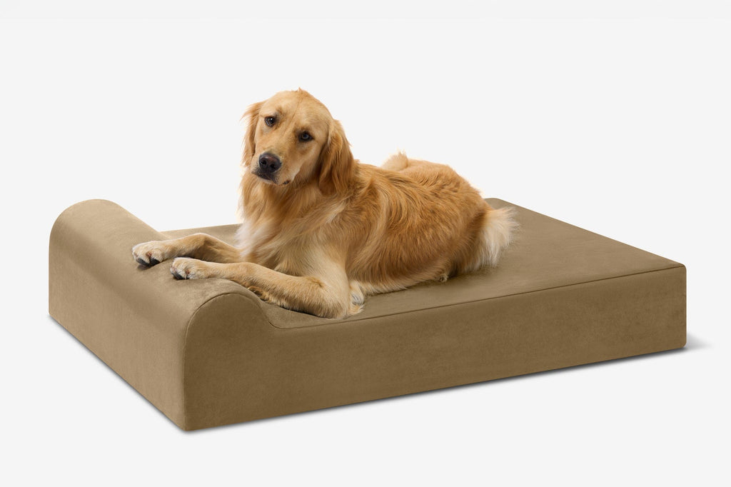 Original Orthopedic Dog Bed