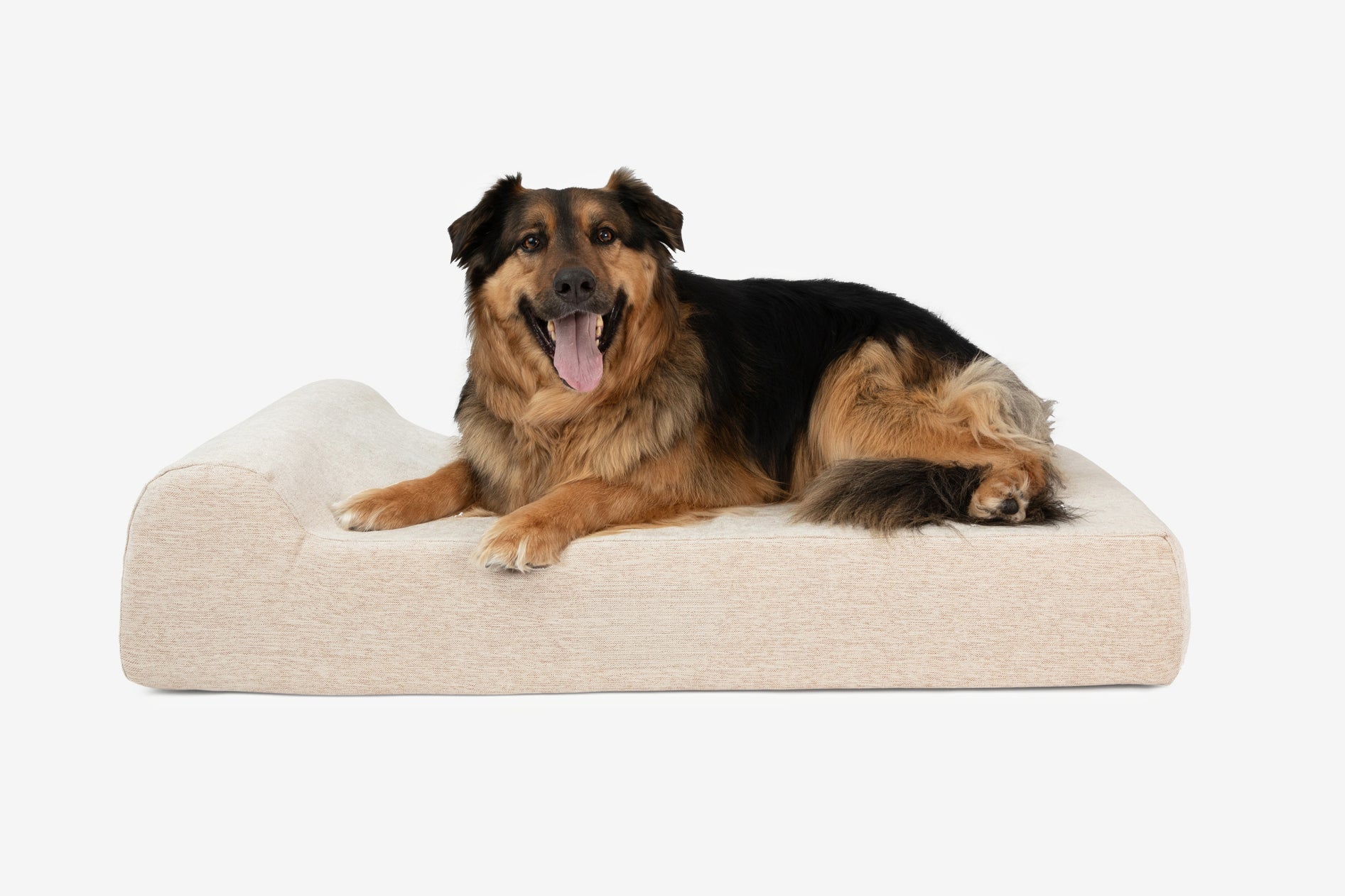 Original Orthopedic Dog Bed