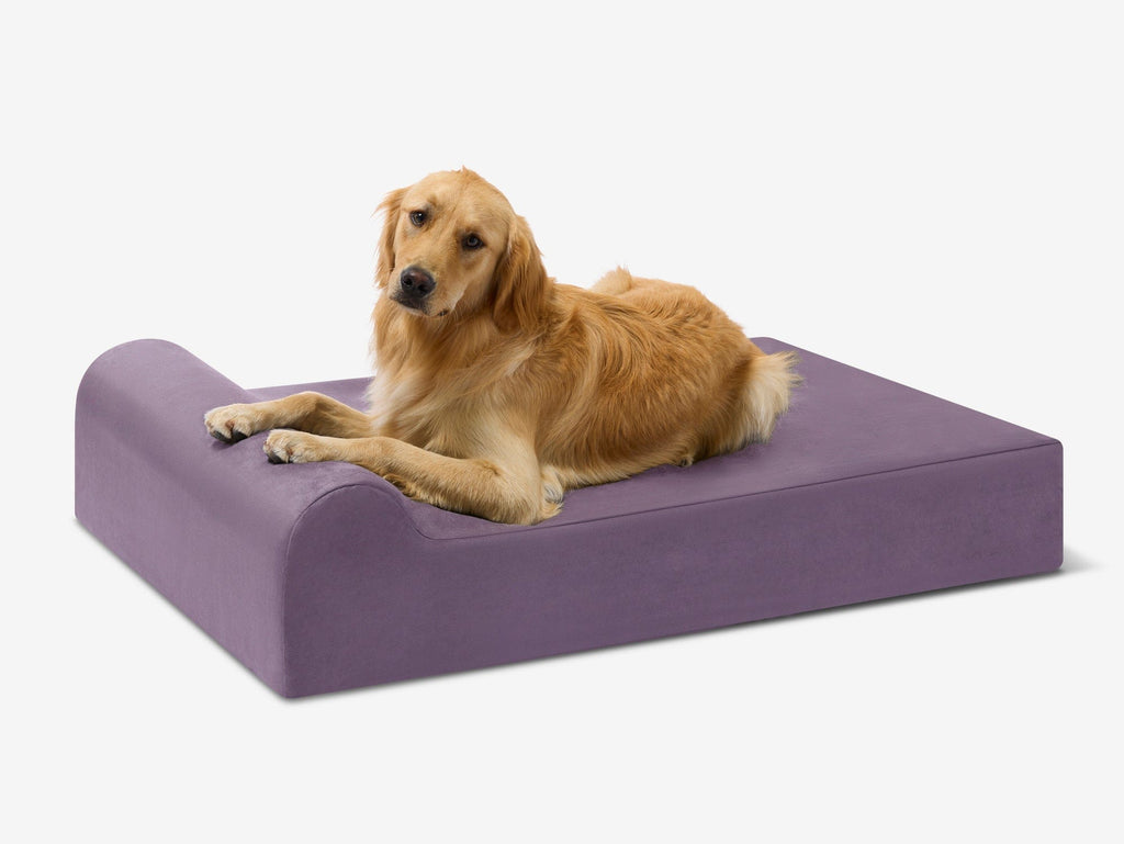 Original Orthopedic Dog Bed