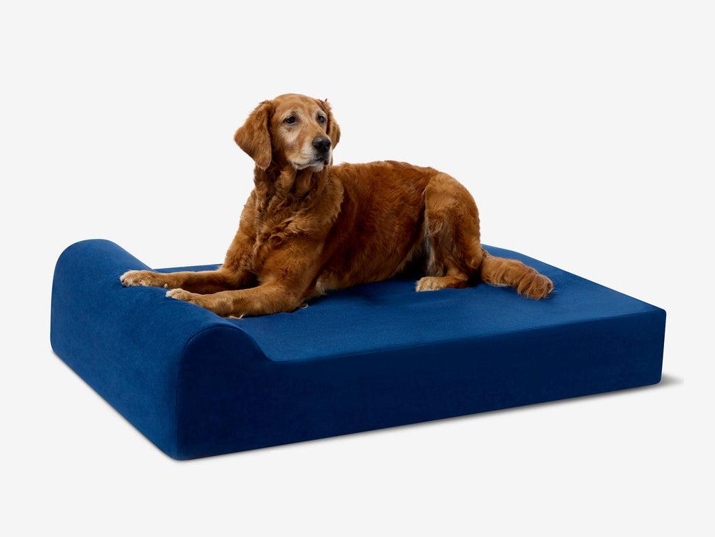 Original Orthopedic Dog Bed