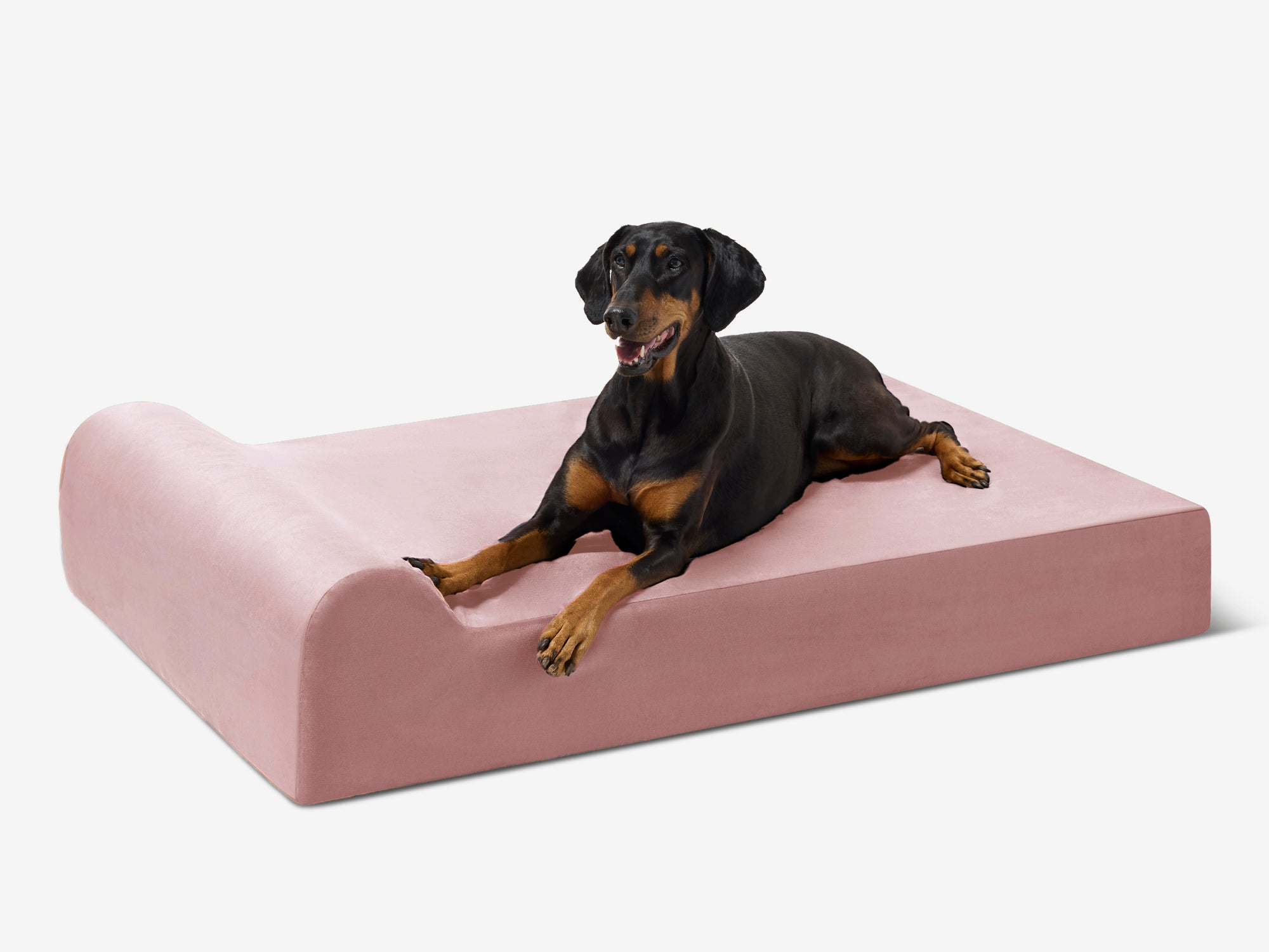 Cover | Original Bed — Limited Edition Colors