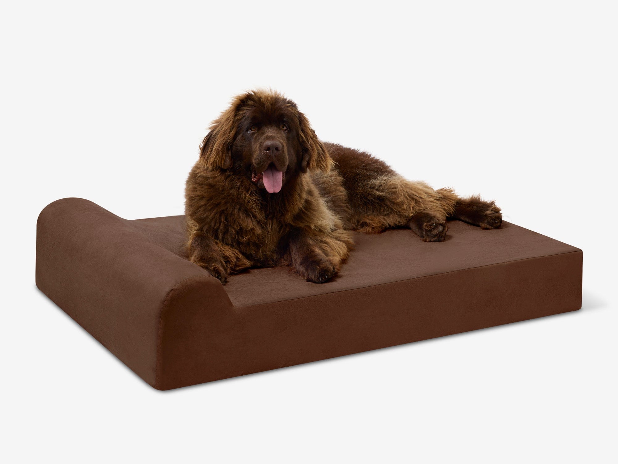 Original Orthopedic Dog Bed