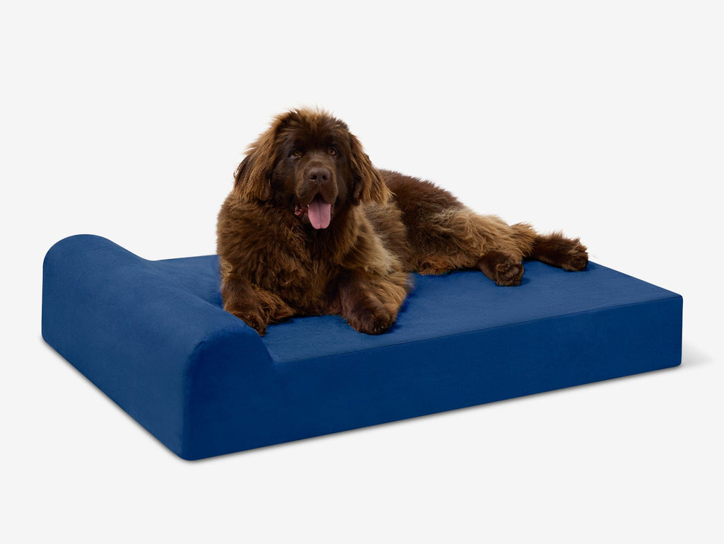 Original Orthopedic Dog Bed