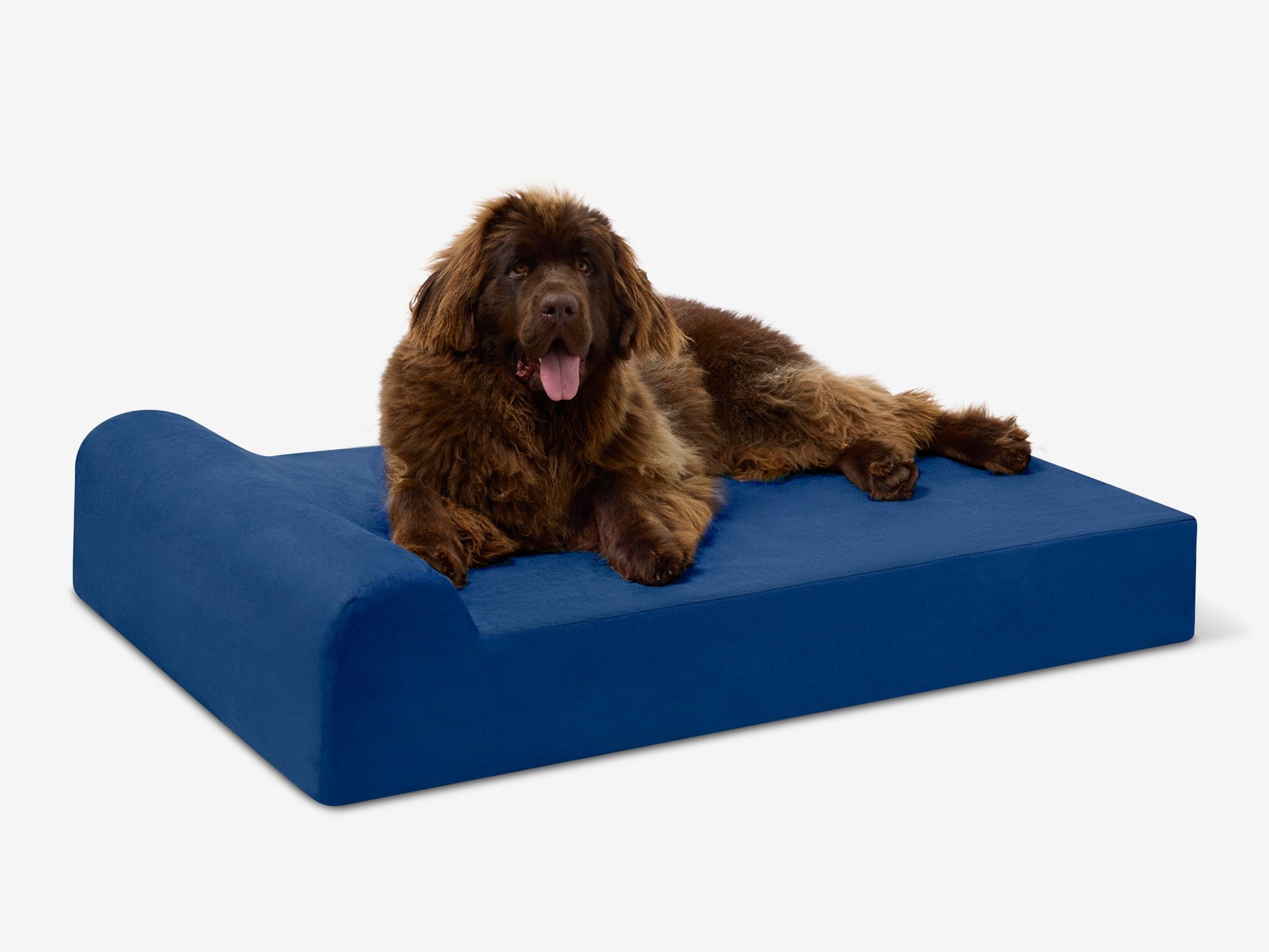 Original Orthopedic Dog Bed
