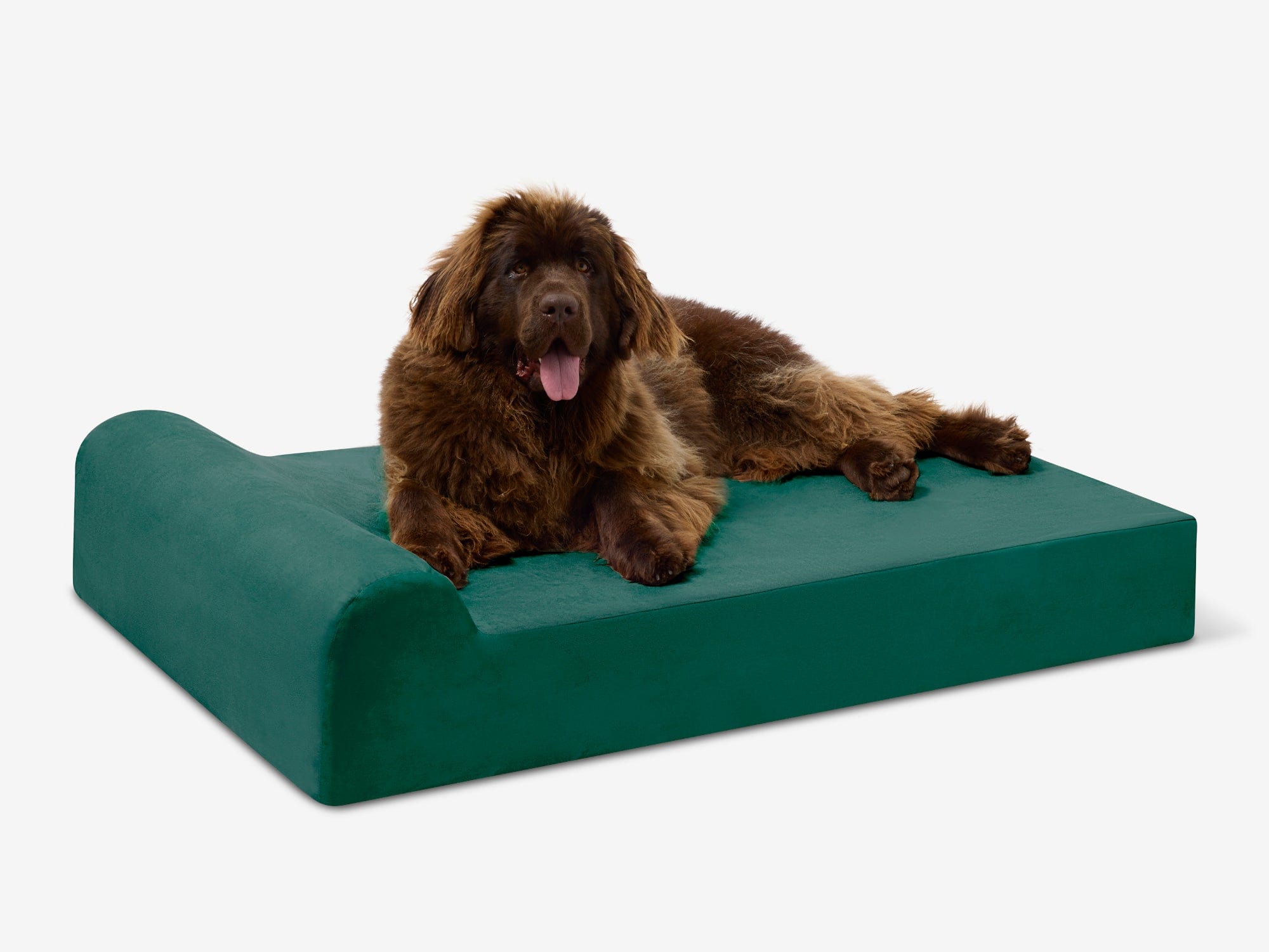 Original Orthopedic Dog Bed
