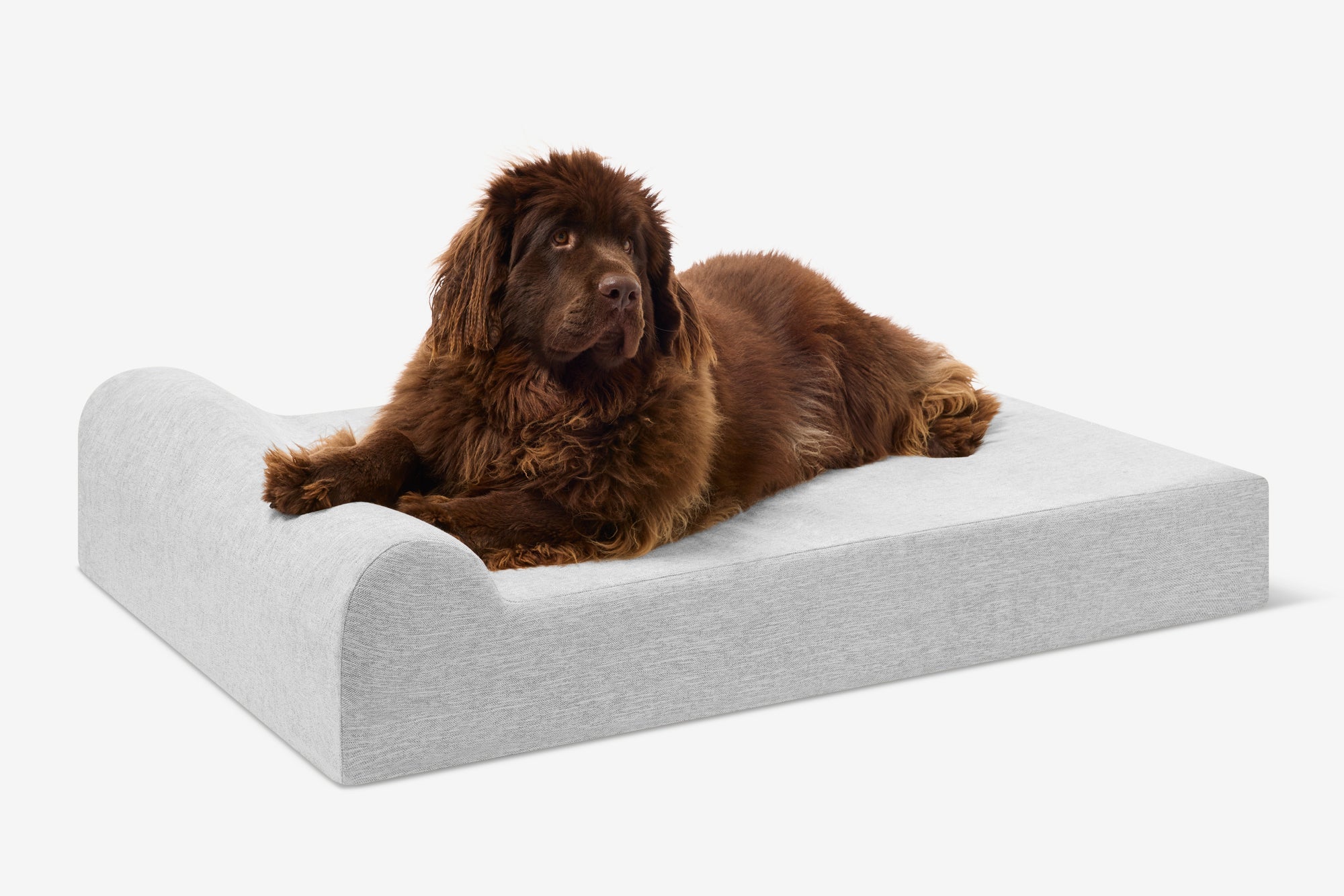 Original Orthopedic Dog Bed