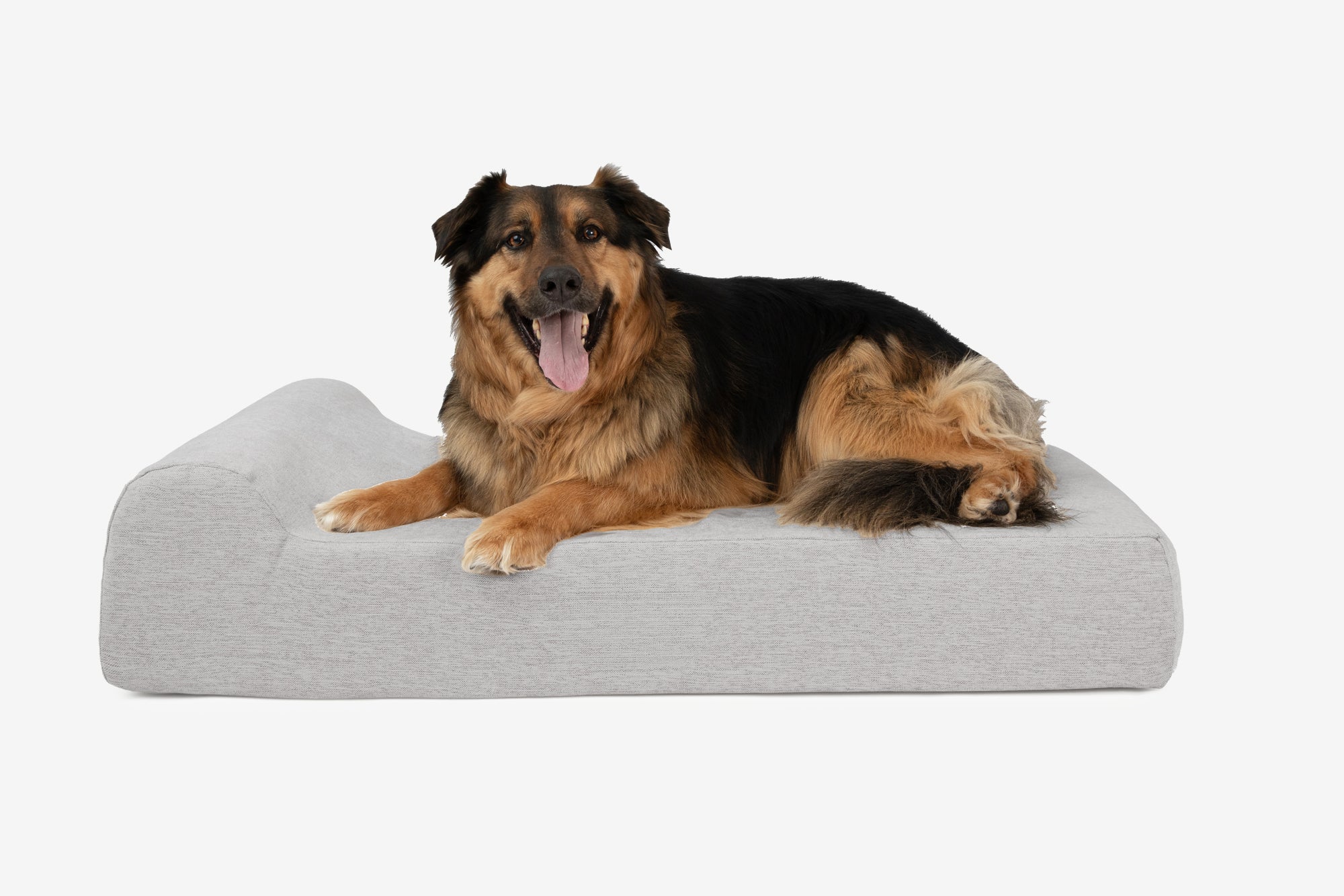 Junior Orthopedic Dog Bed