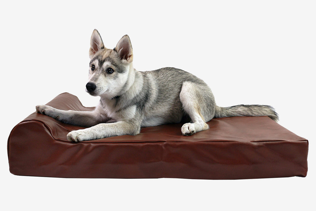 Original Orthopedic Dog Bed