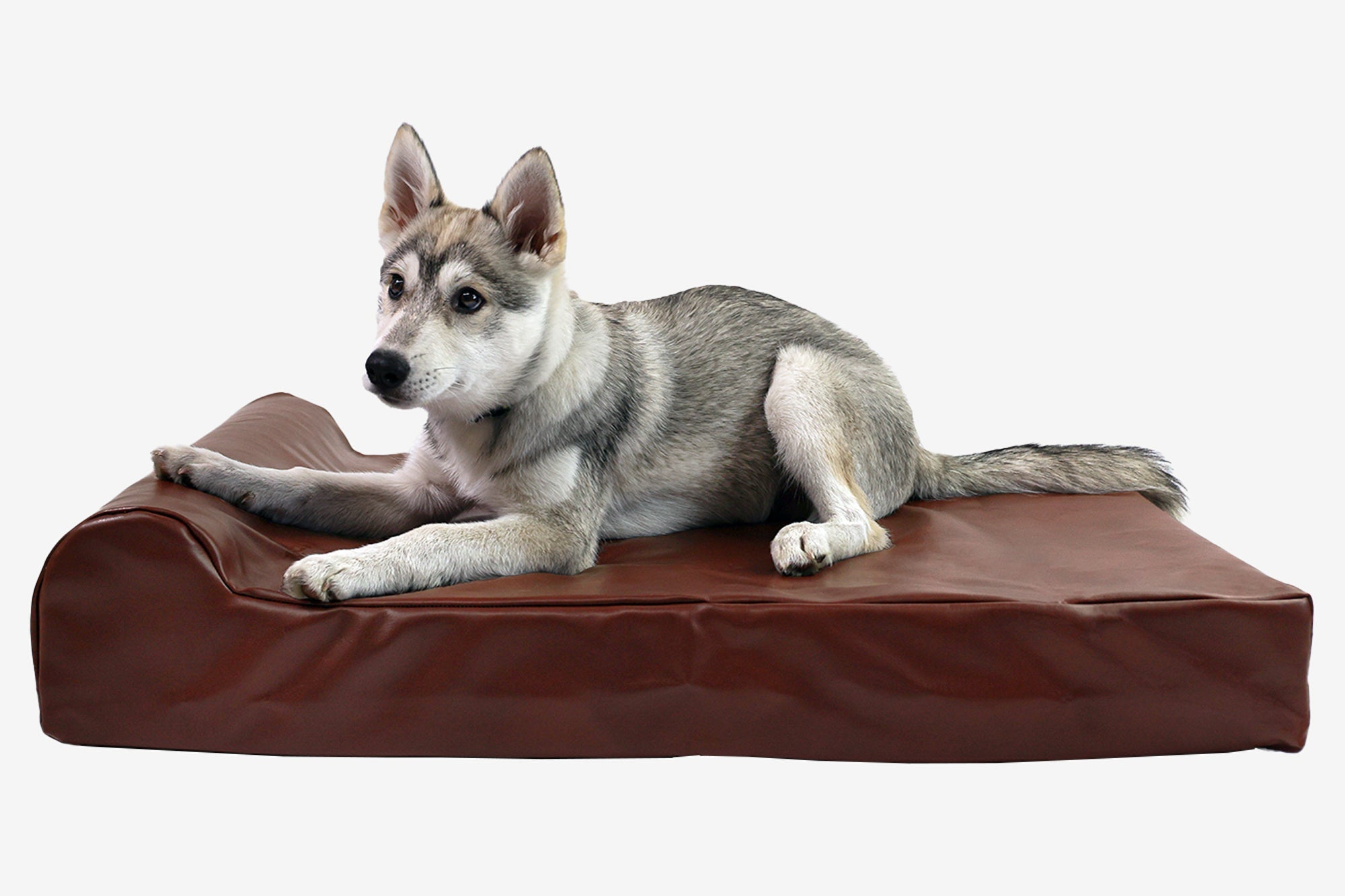 Original Orthopedic Dog Bed