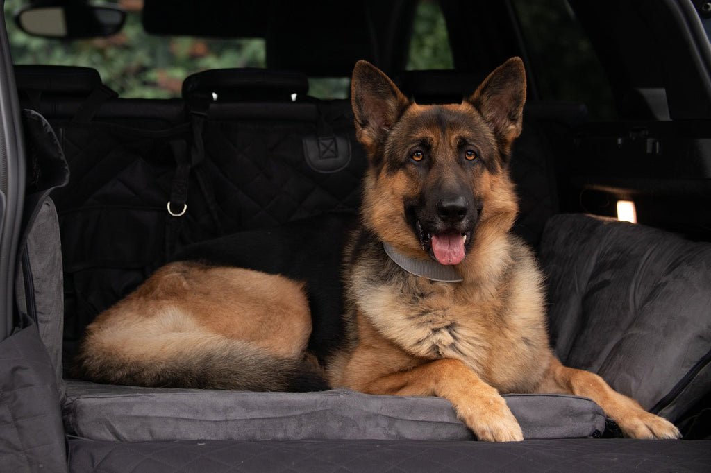 Easy Rider SUV Dog Bed