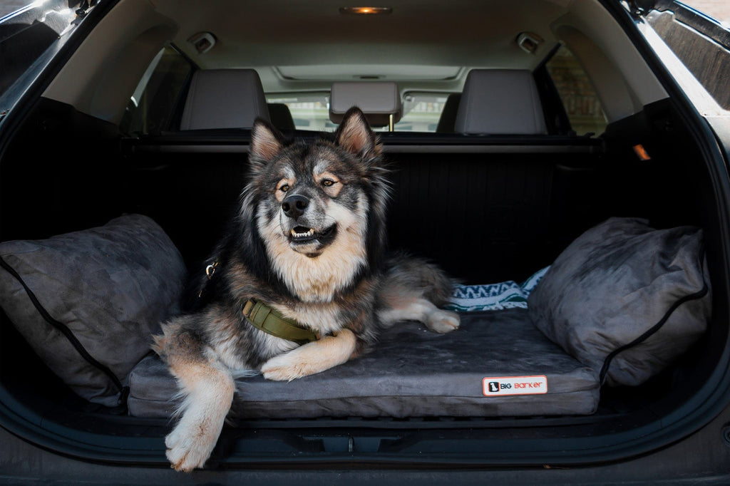 Easy Rider SUV Dog Bed