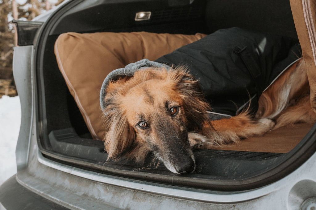 Easy Rider SUV Dog Bed