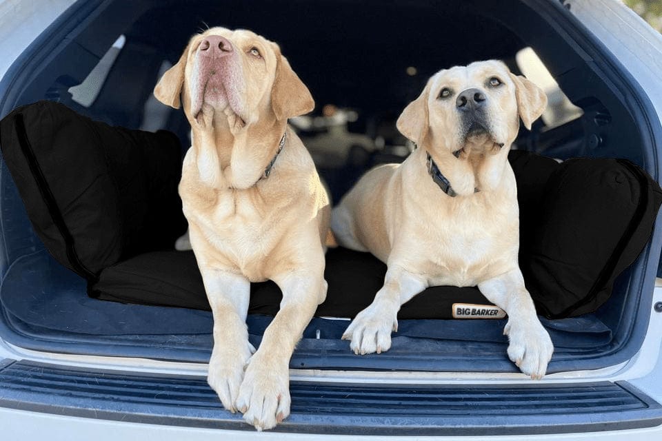 Easy Rider SUV Dog Bed