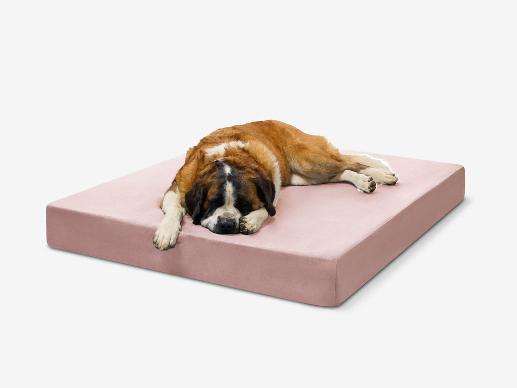 Cover | Original Bed — Limited Edition Colors