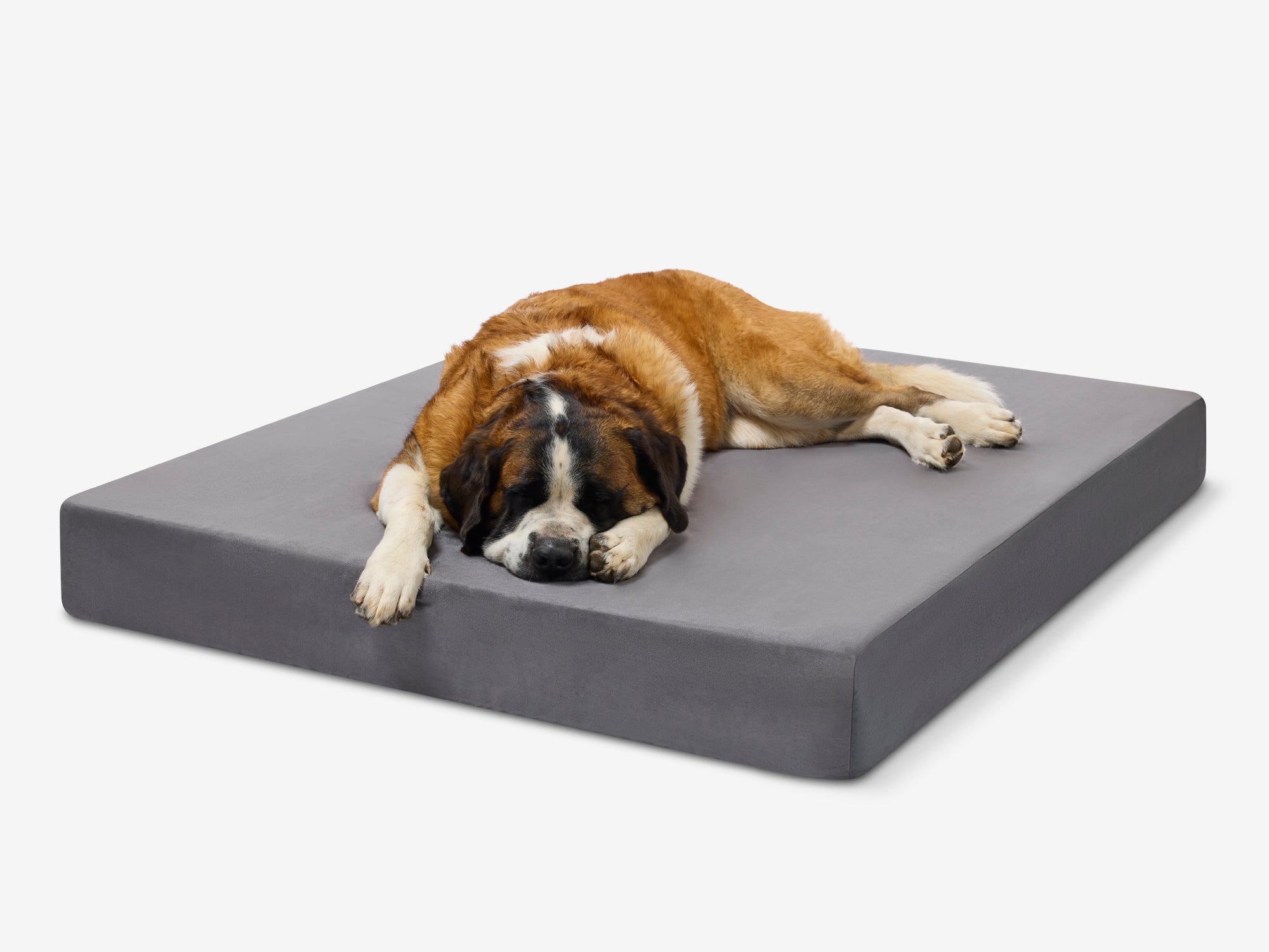 Original Orthopedic Dog Bed