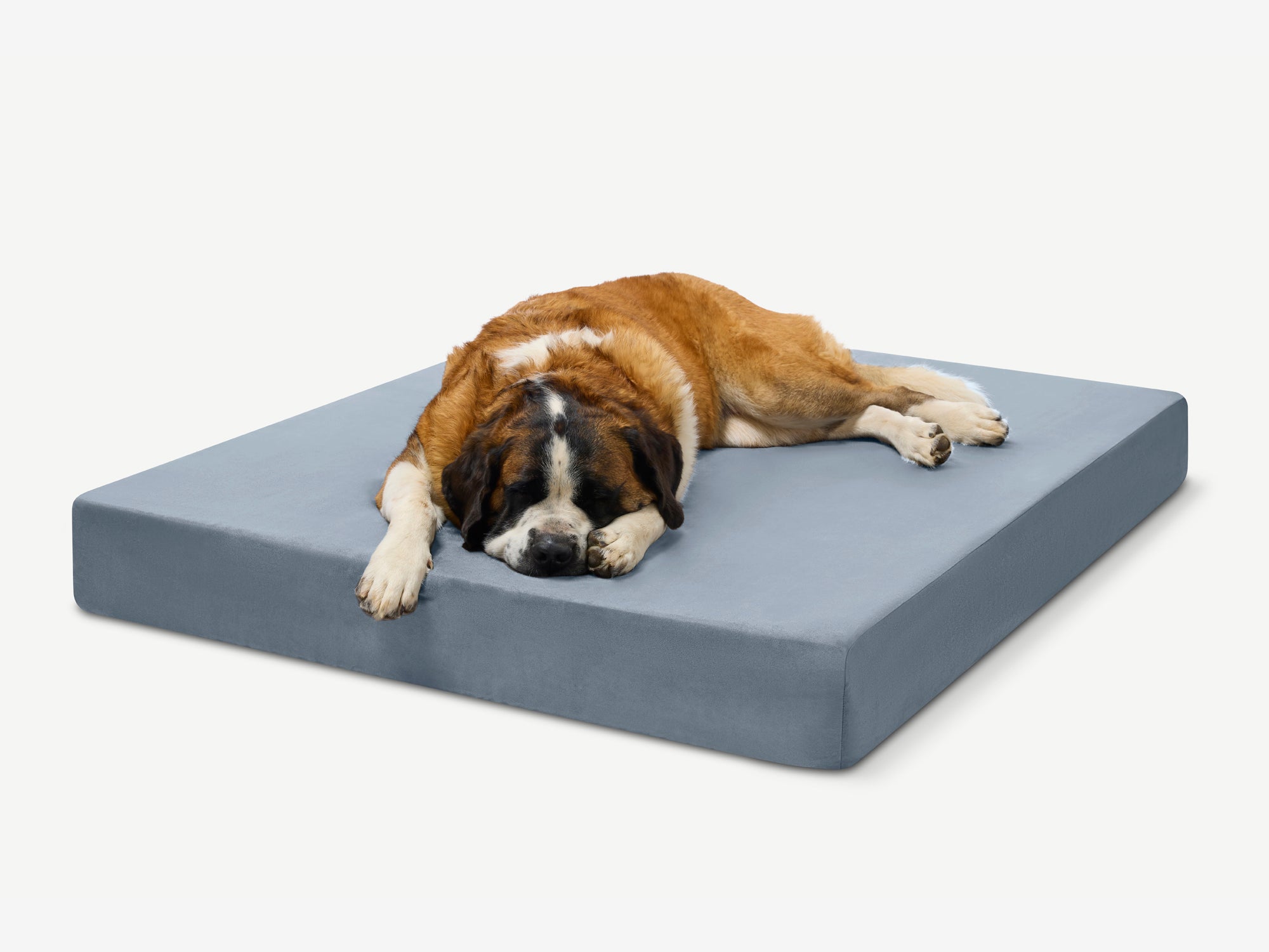 Original Orthopedic Dog Bed