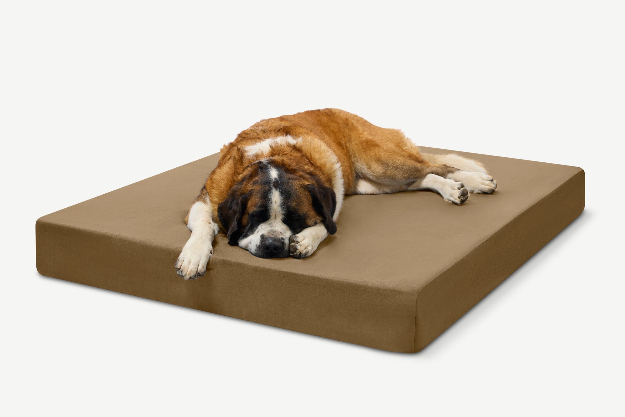 Original Orthopedic Dog Bed