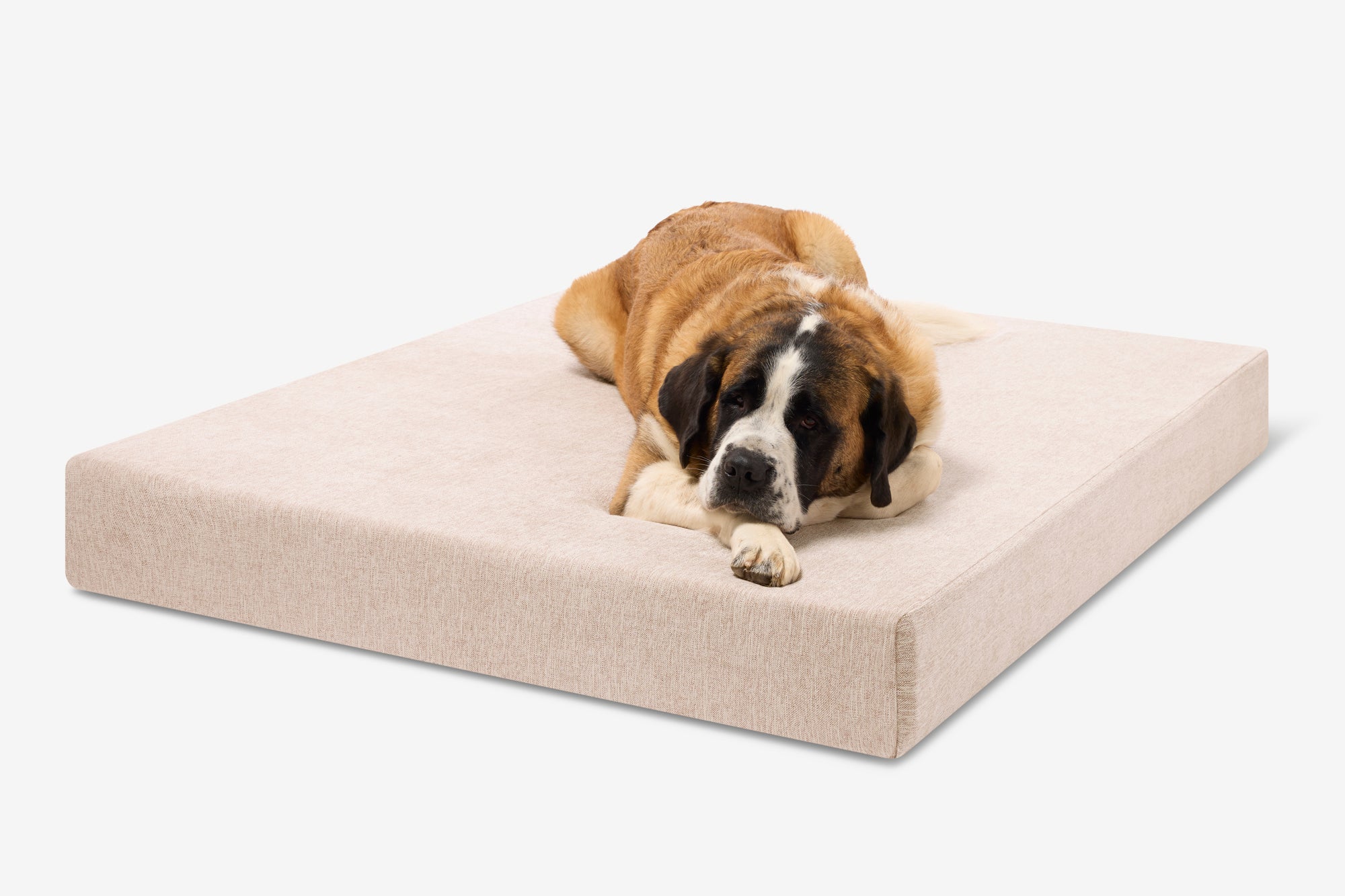Original Orthopedic Dog Bed